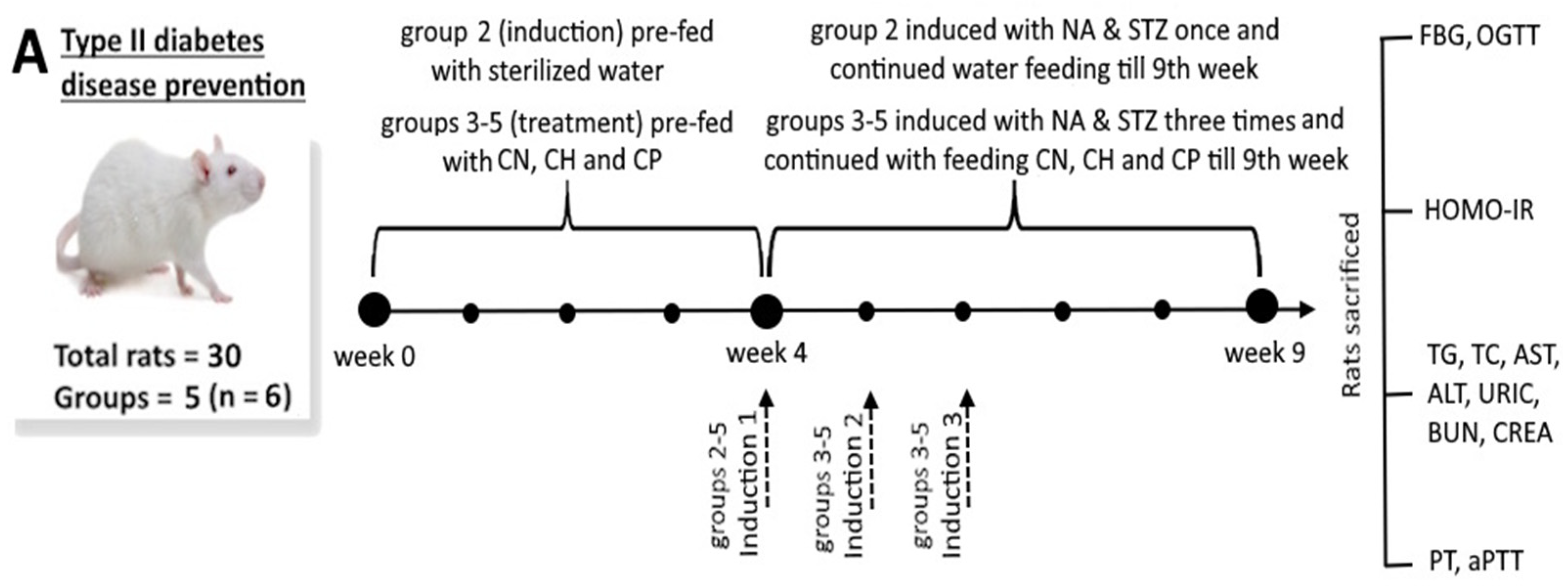 Antioxidants 15 00195 g001a Antioxidants 15 00195 g001a