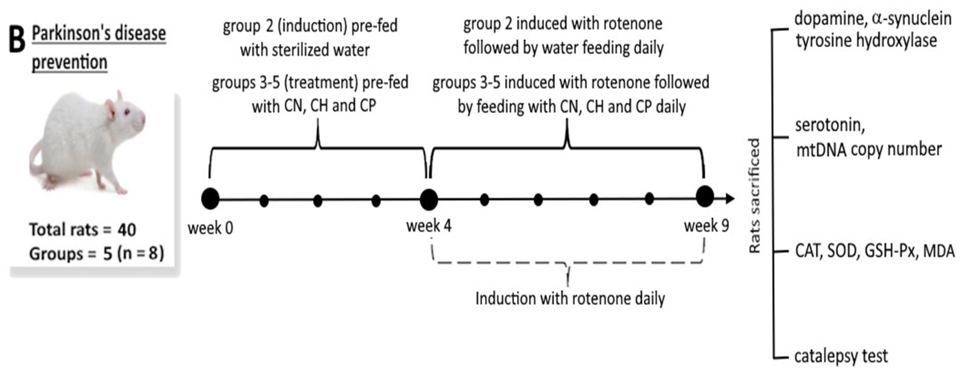 Antioxidants 15 00195 g001b Antioxidants 15 00195 g001b