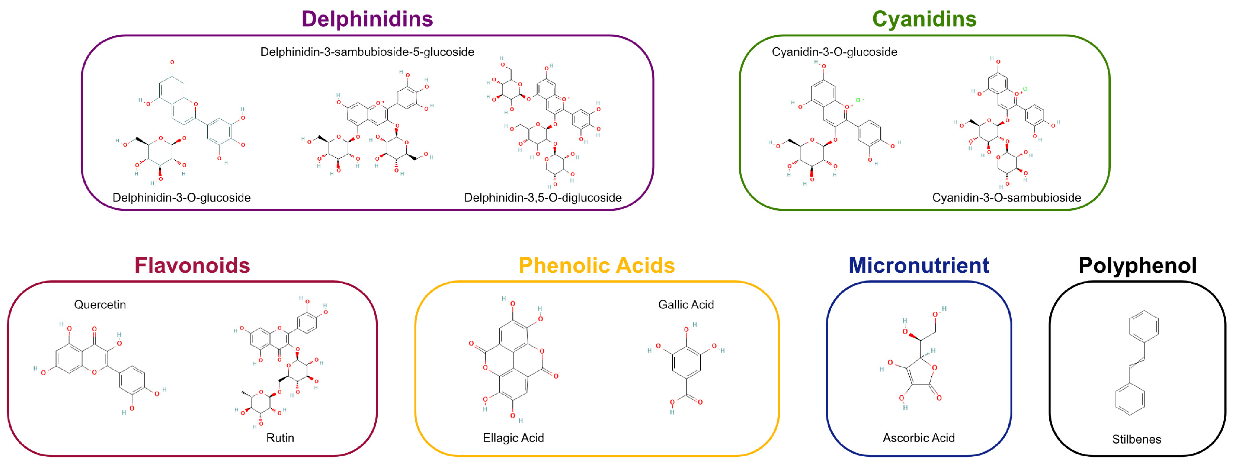 Antioxidants 15 00204 g001 Antioxidants 15 00204 g001