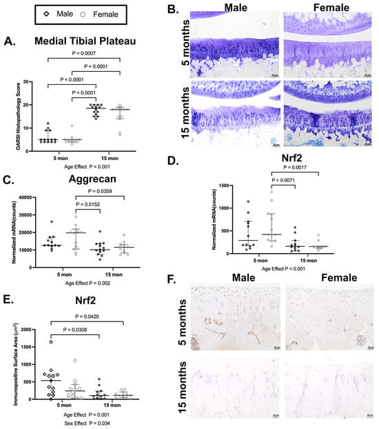 Antioxidants 15 00212 g001