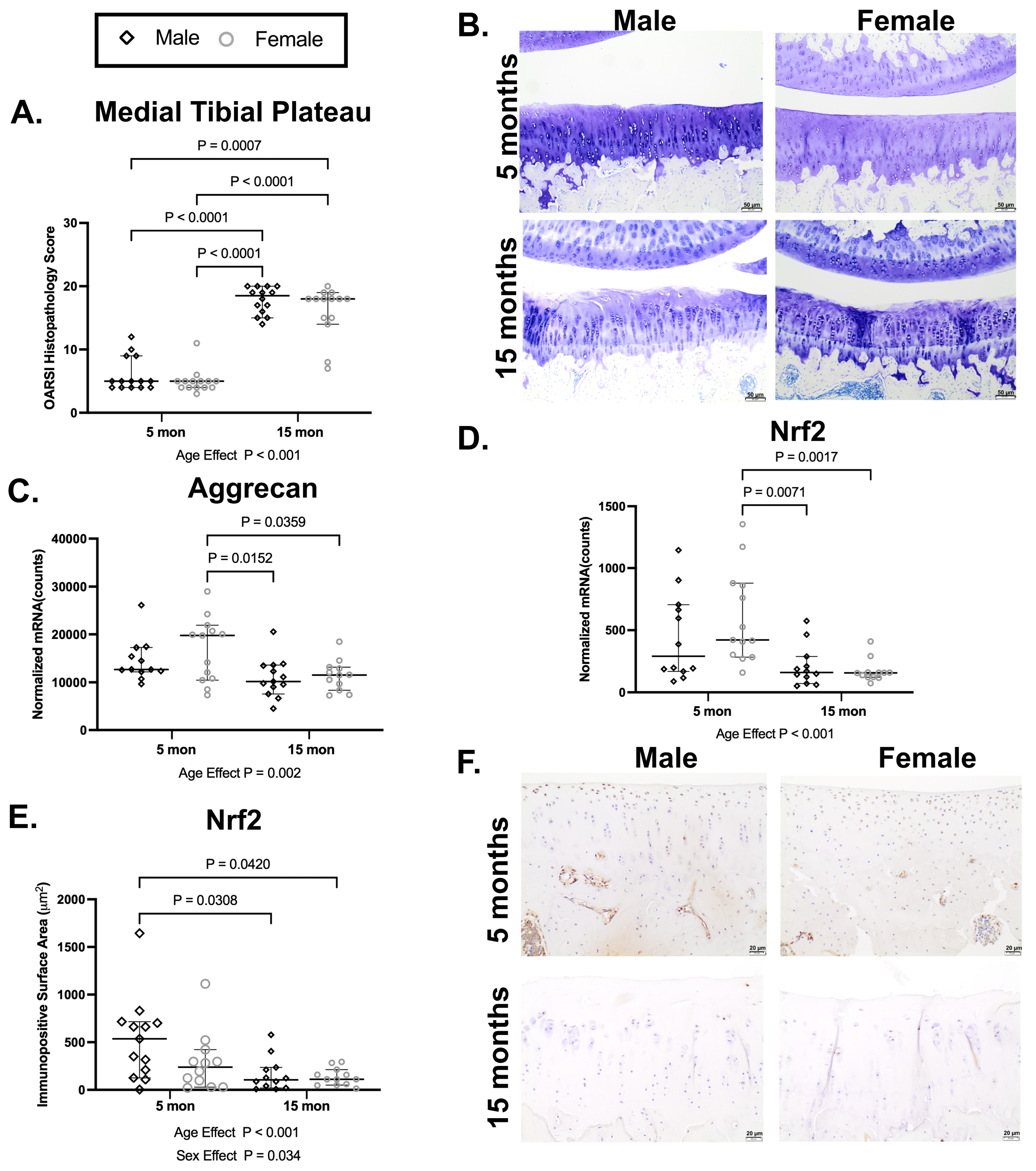 Antioxidants 15 00212 g001