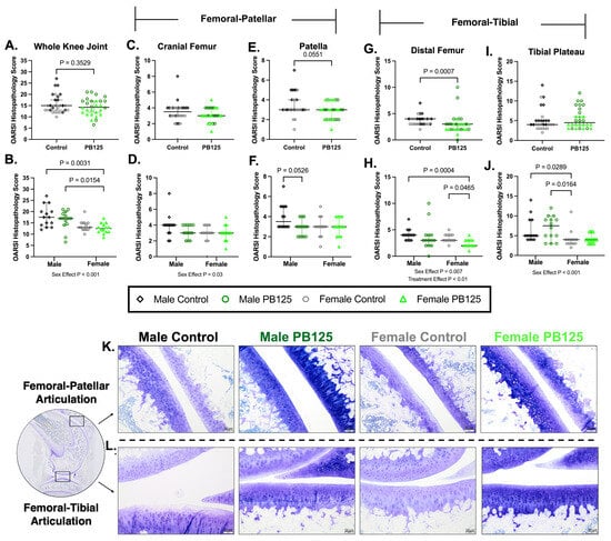Antioxidants 15 00212 g002