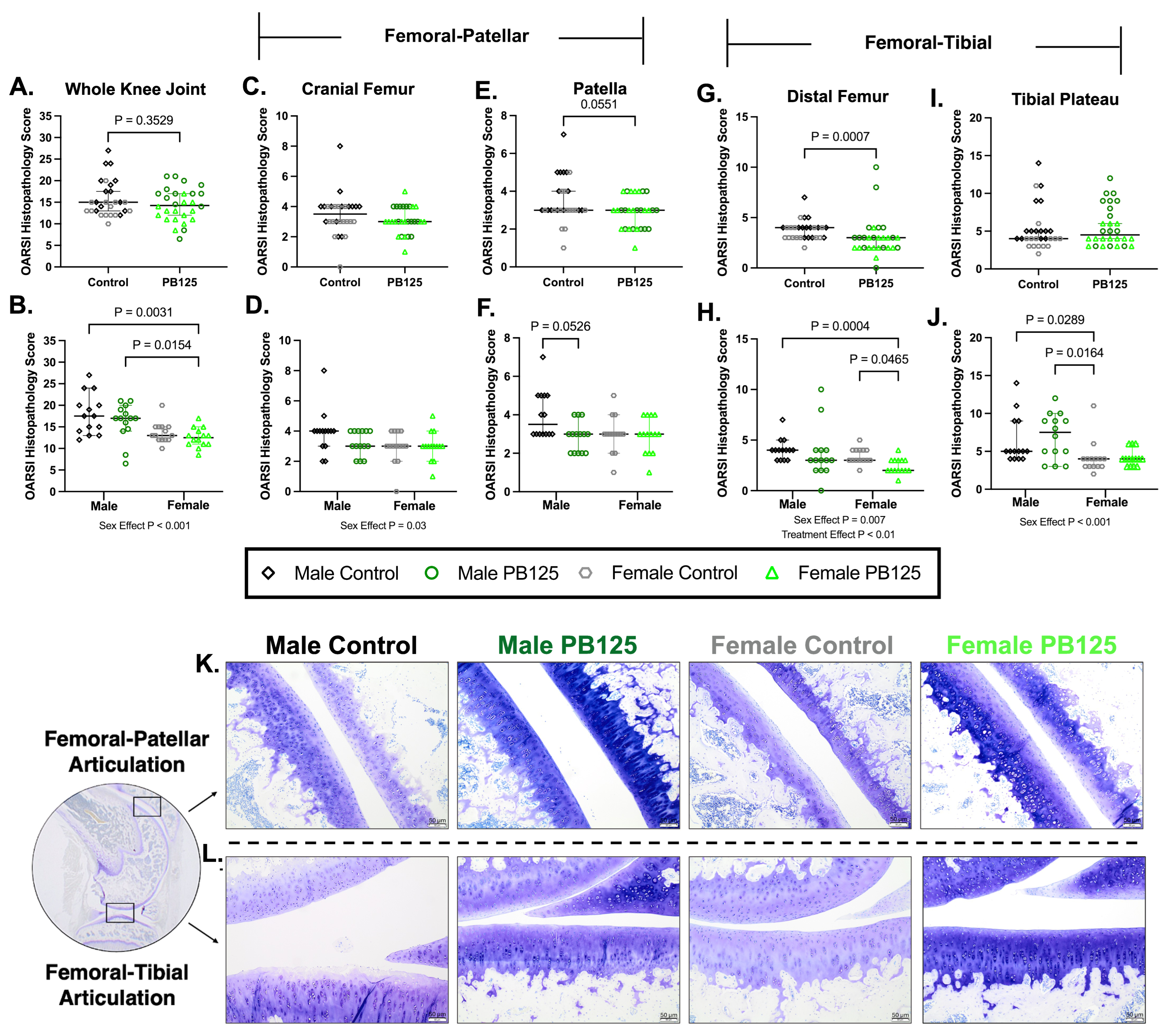 Antioxidants 15 00212 g002