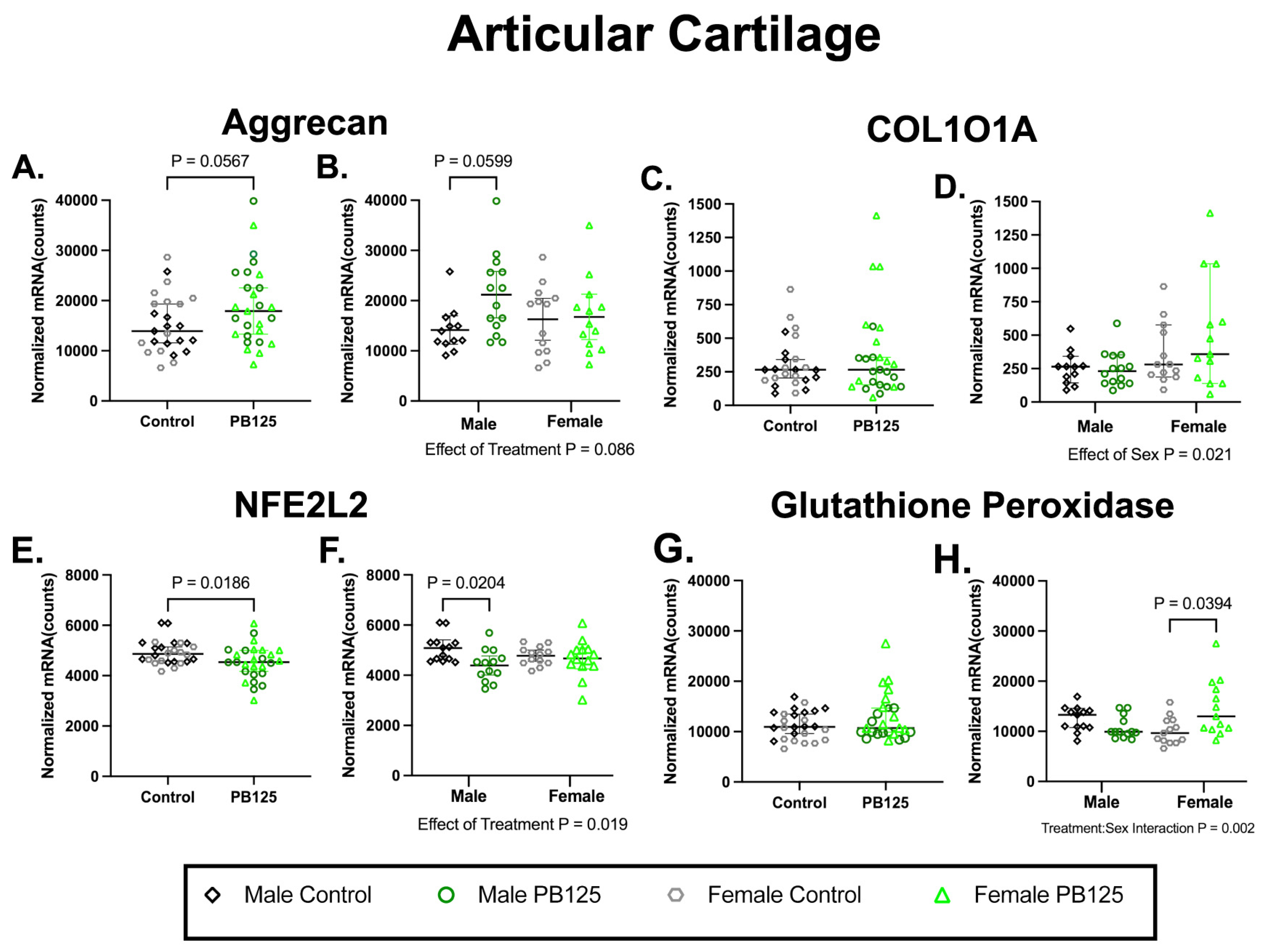 Antioxidants 15 00212 g003