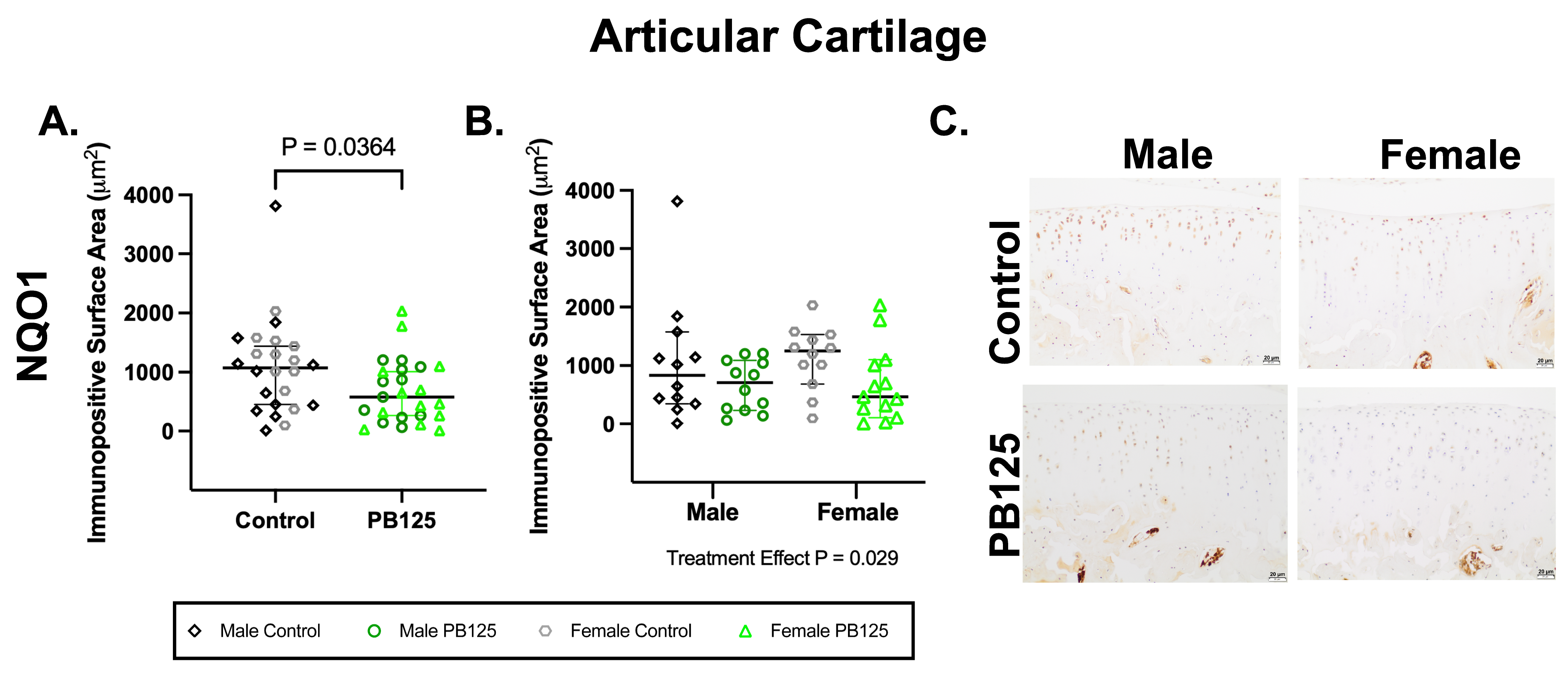 Antioxidants 15 00212 g004