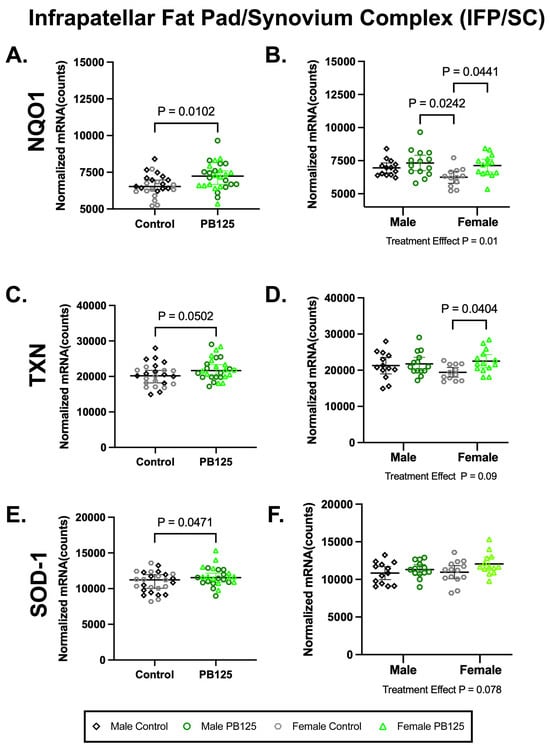 Antioxidants 15 00212 g005