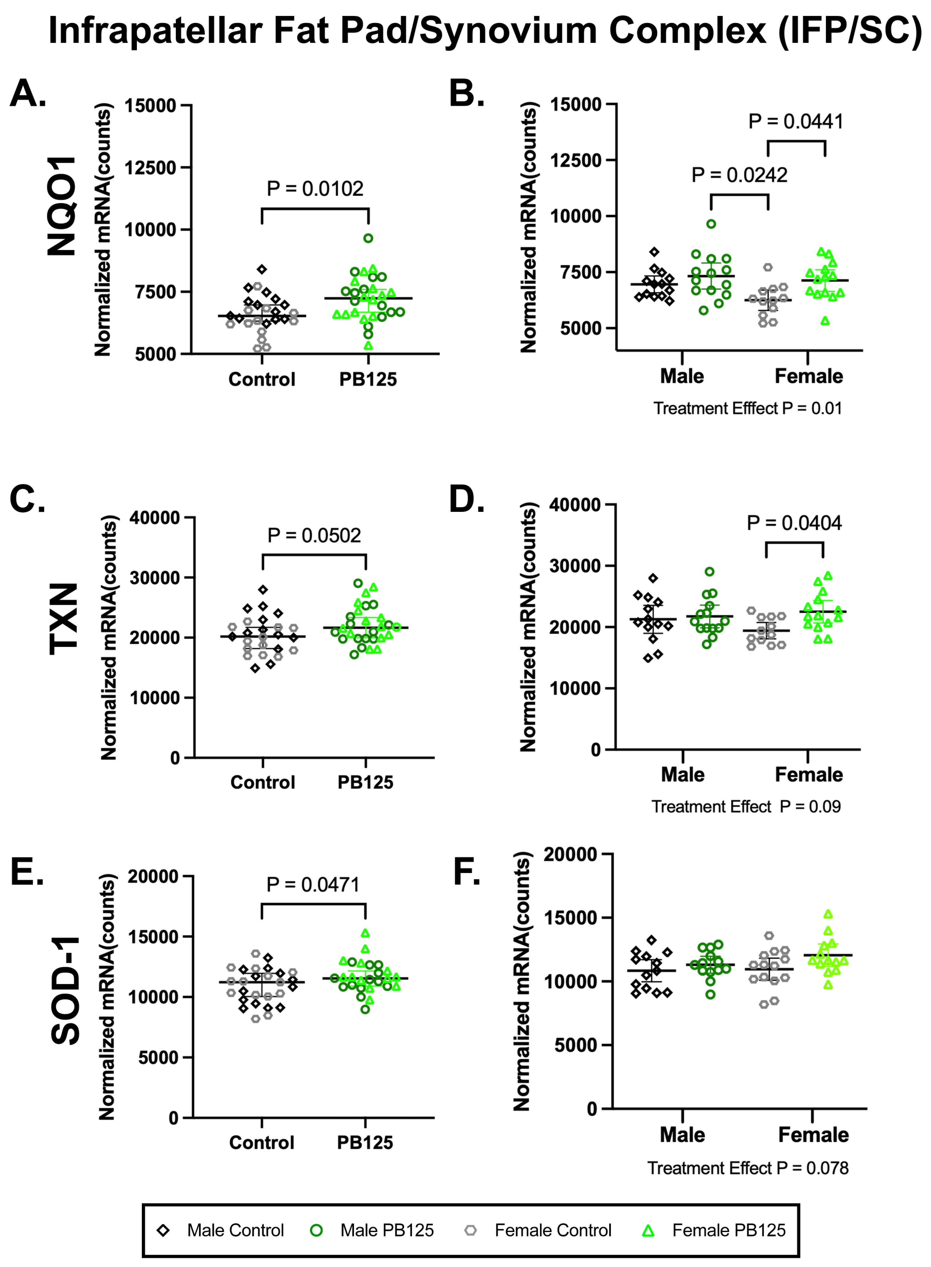 Antioxidants 15 00212 g005