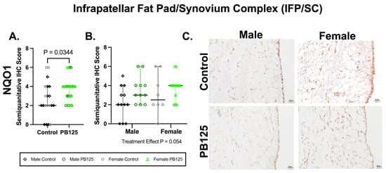 Antioxidants 15 00212 g006