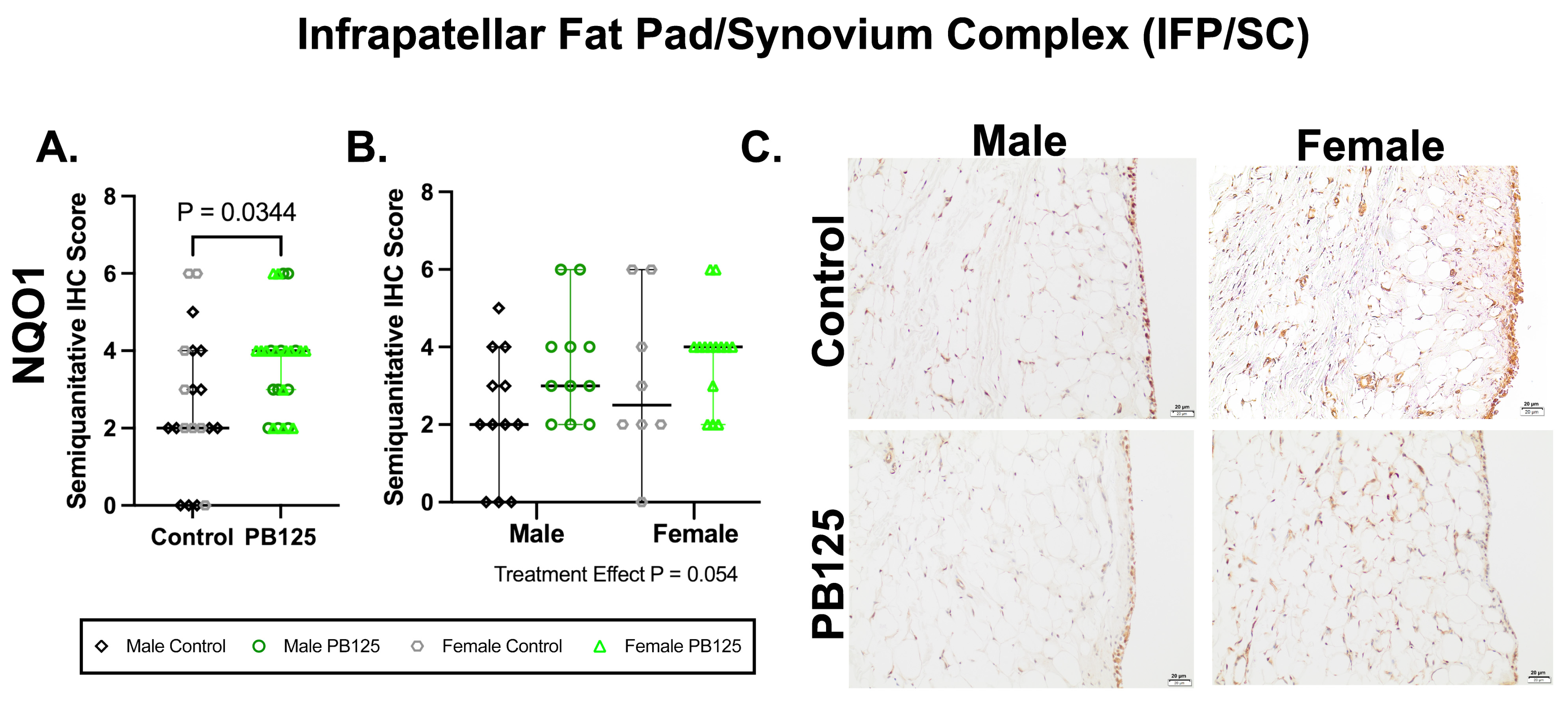 Antioxidants 15 00212 g006