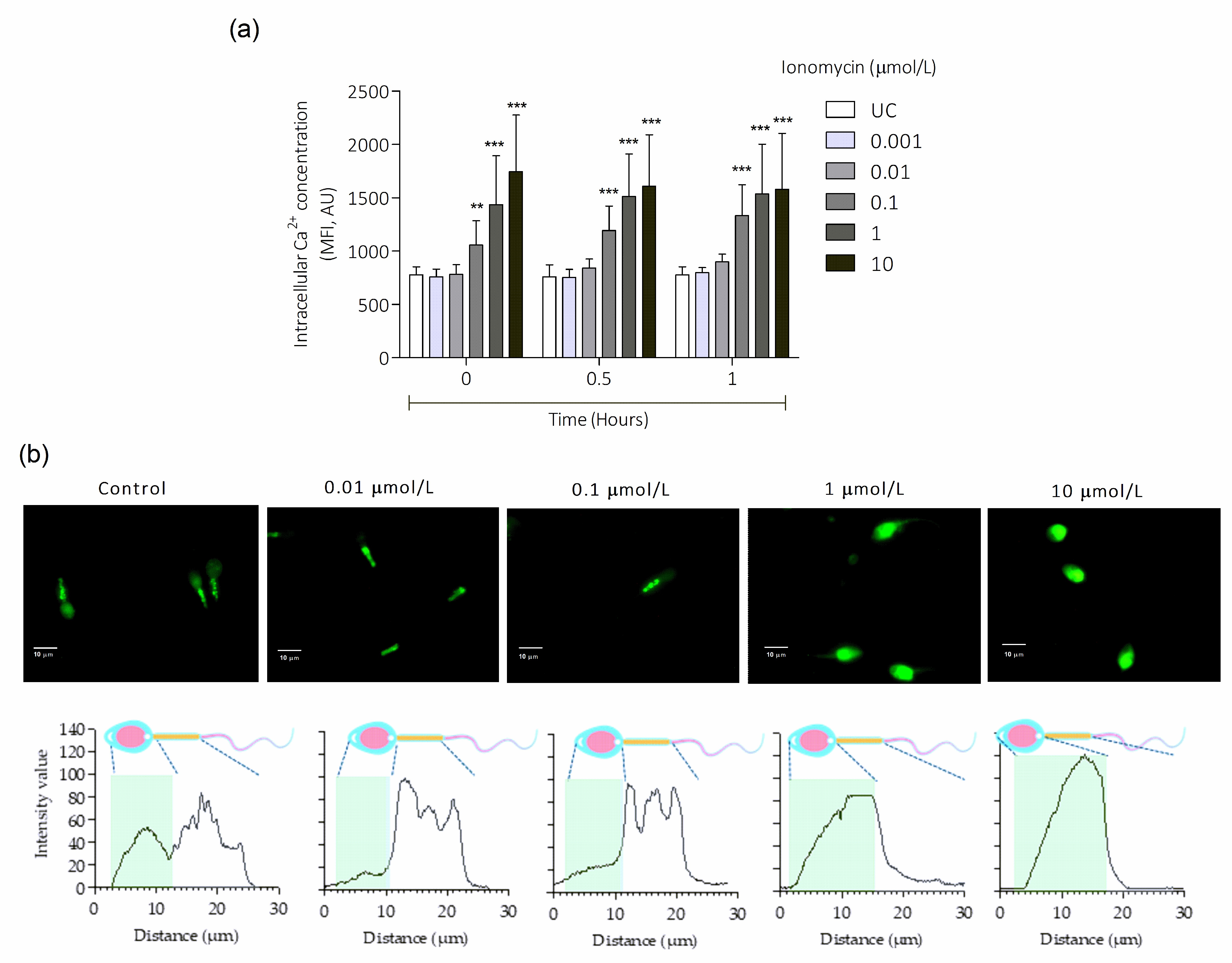 Antioxidants 15 00213 g001
