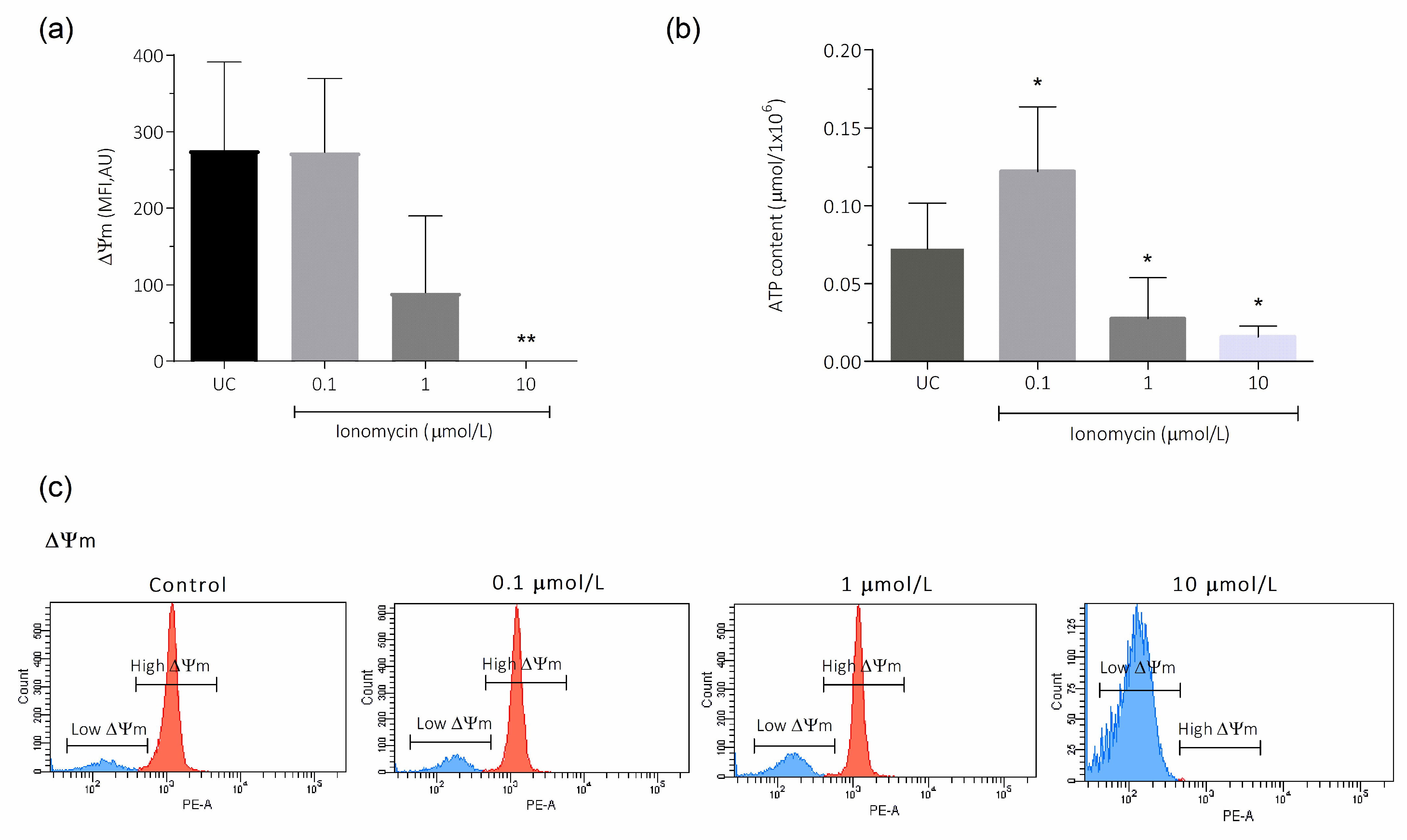 Antioxidants 15 00213 g004