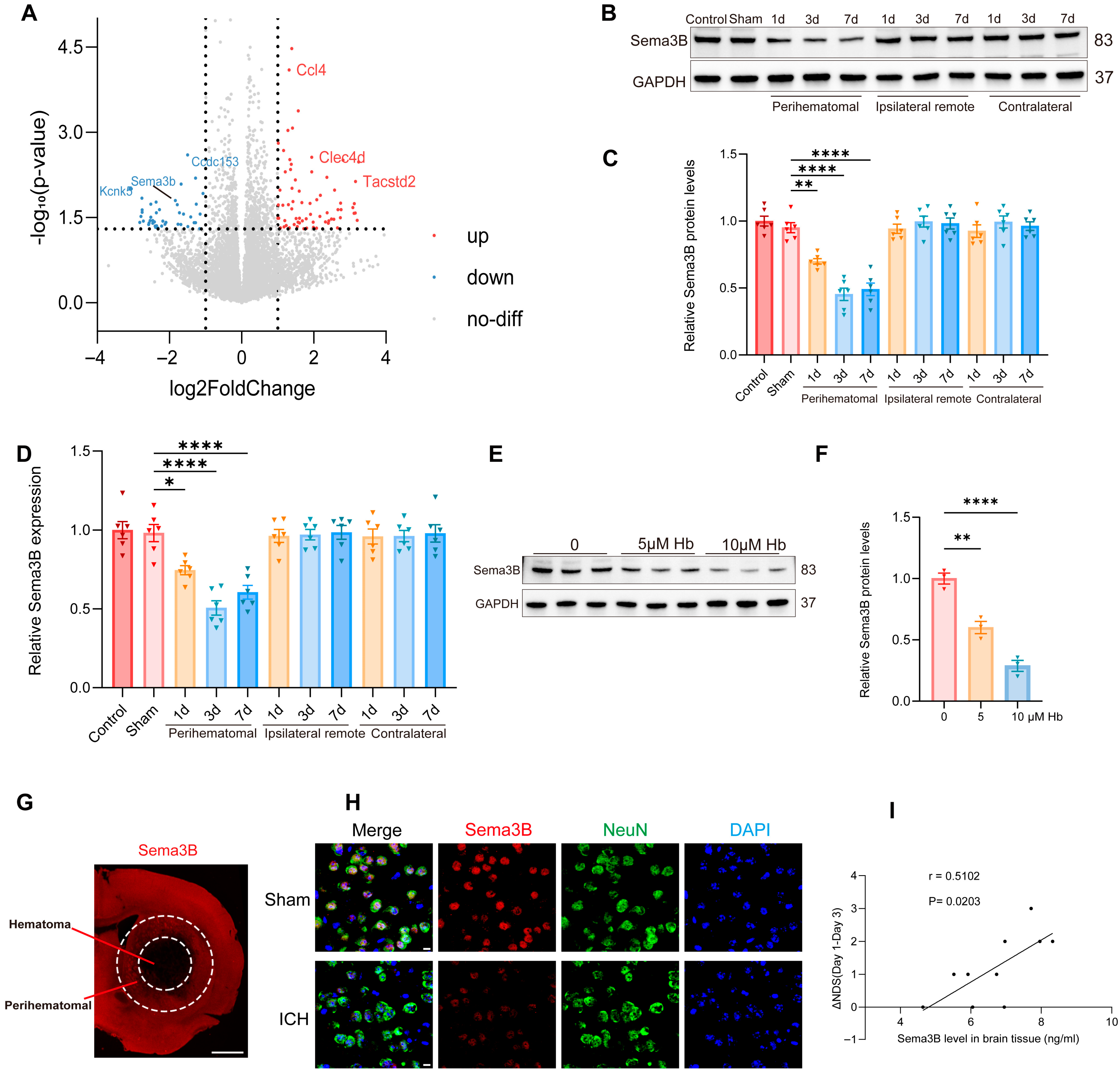 Antioxidants 15 00220 g001