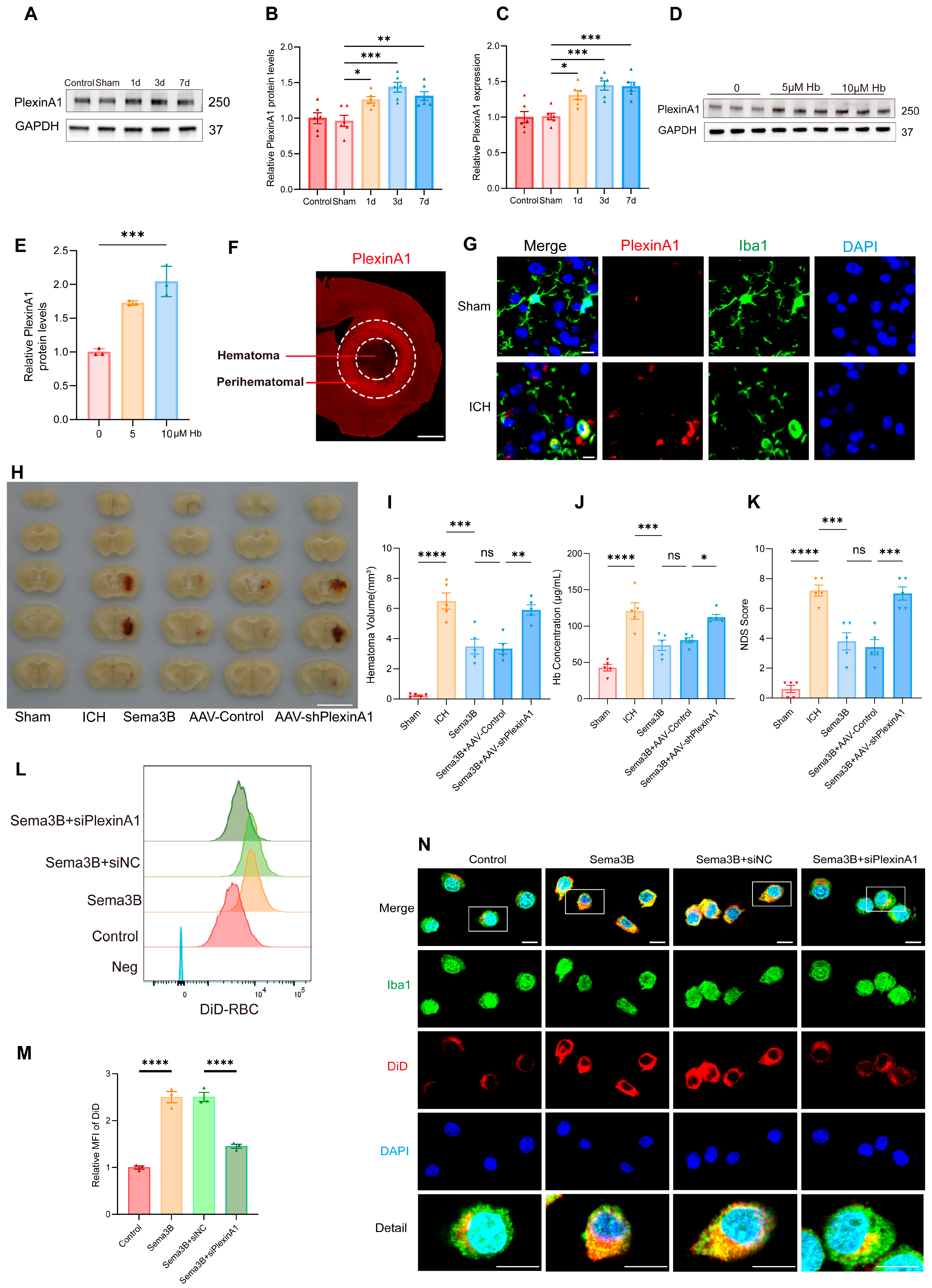 Antioxidants 15 00220 g002