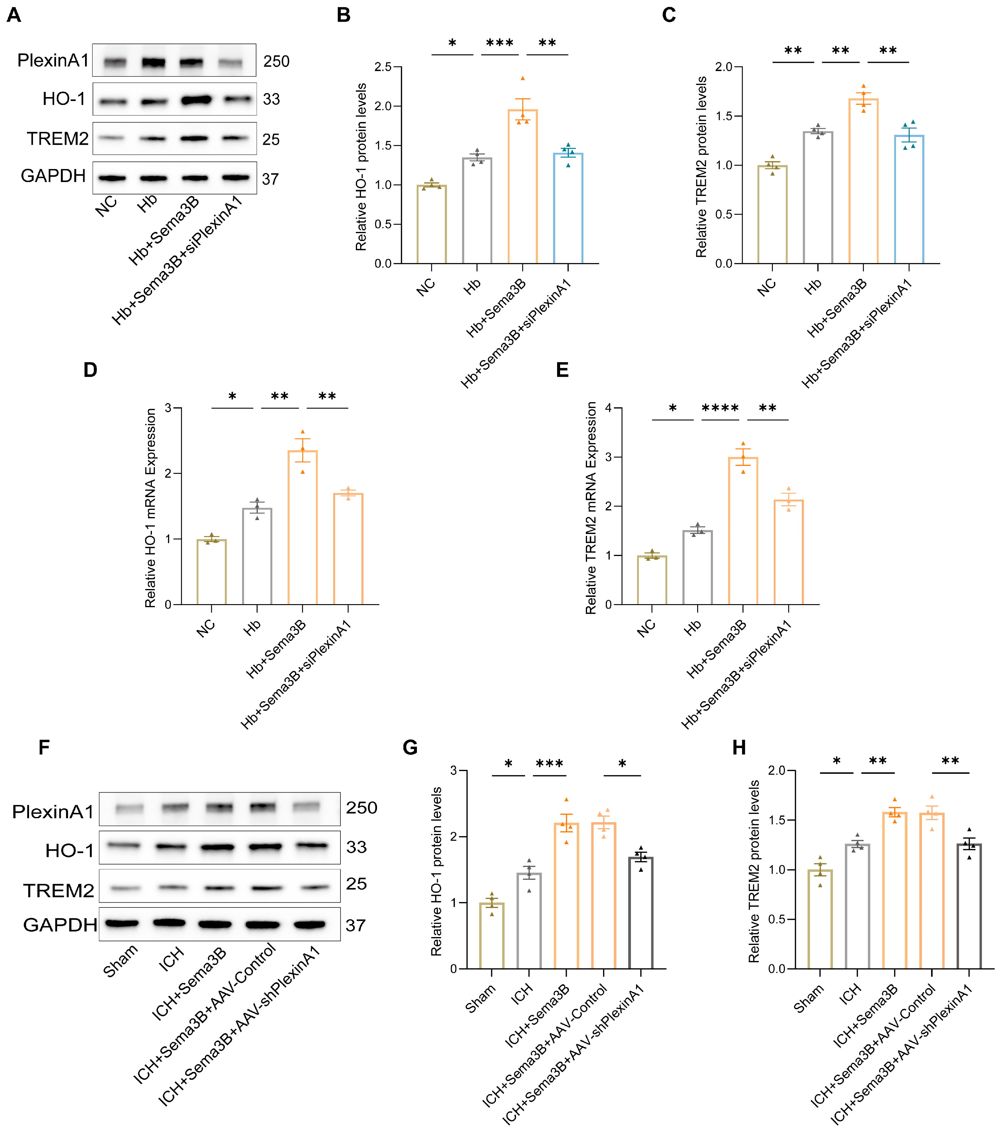 Antioxidants 15 00220 g003