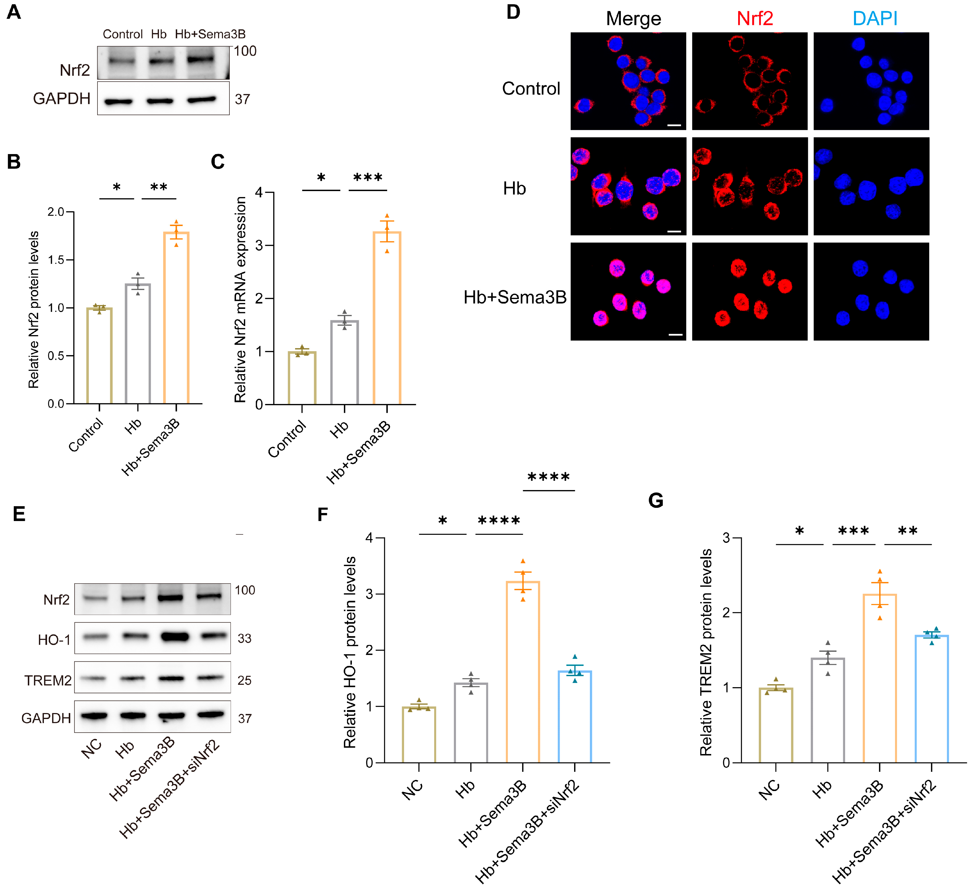 Antioxidants 15 00220 g004