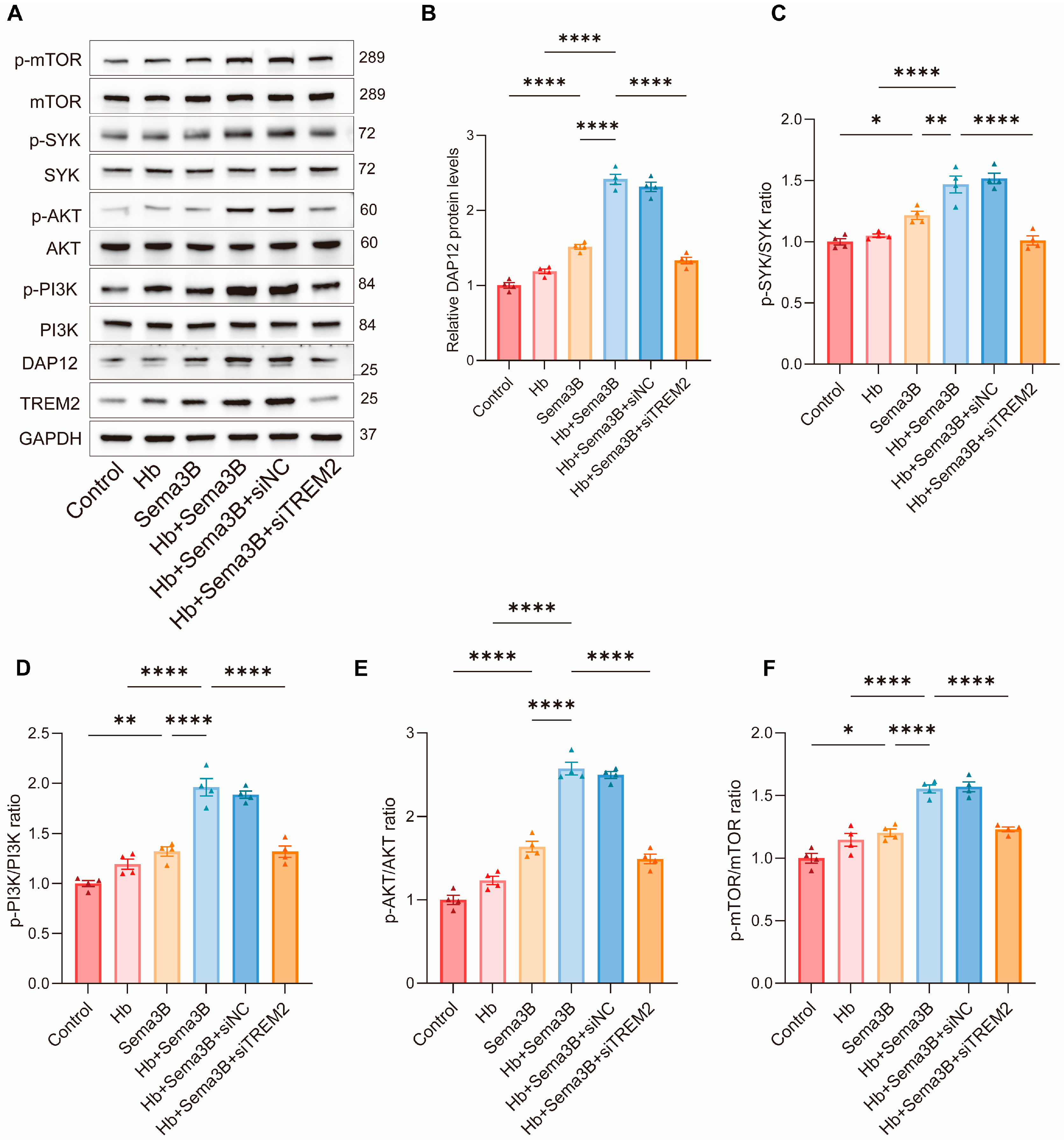 Antioxidants 15 00220 g005a