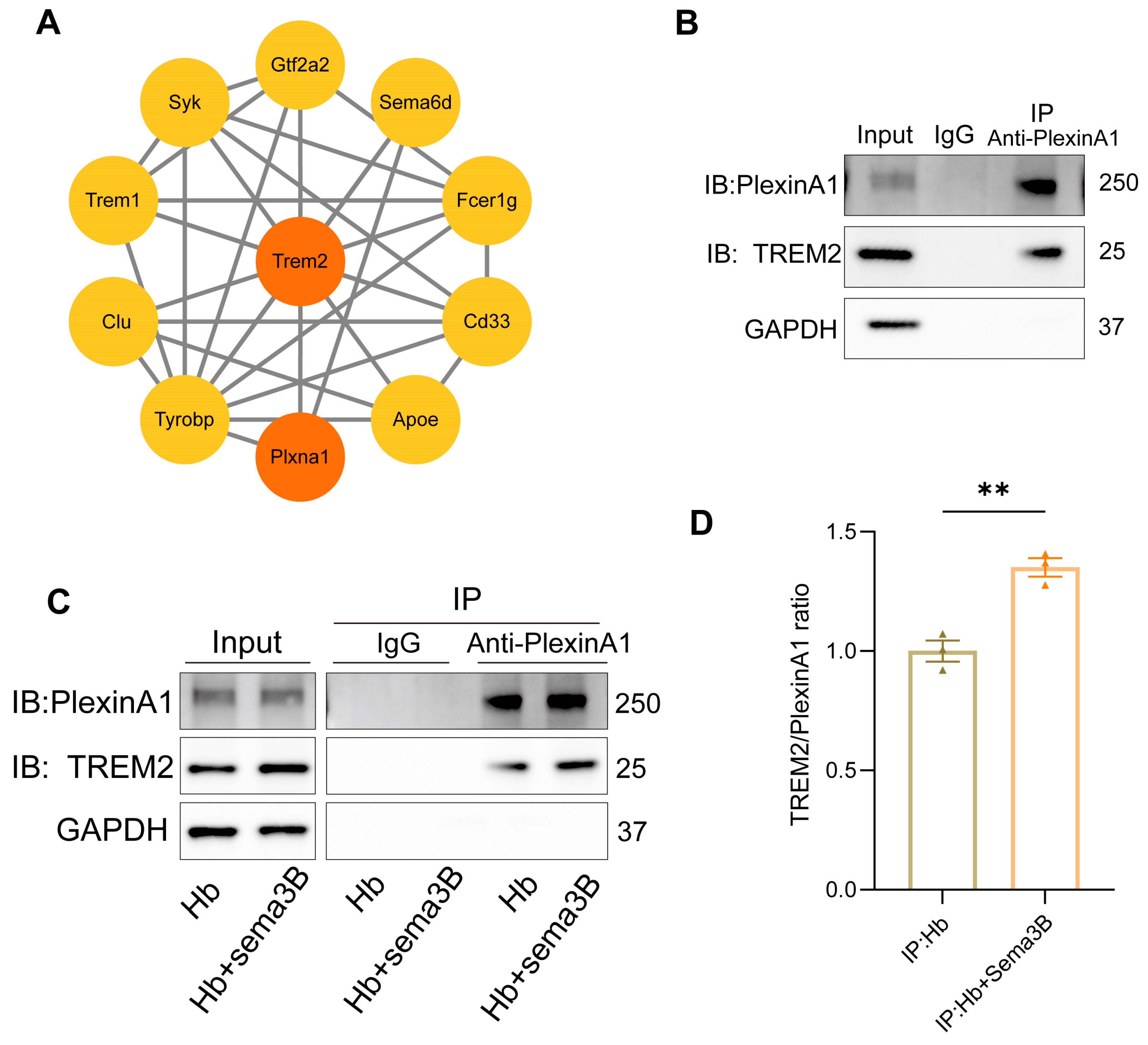 Antioxidants 15 00220 g006