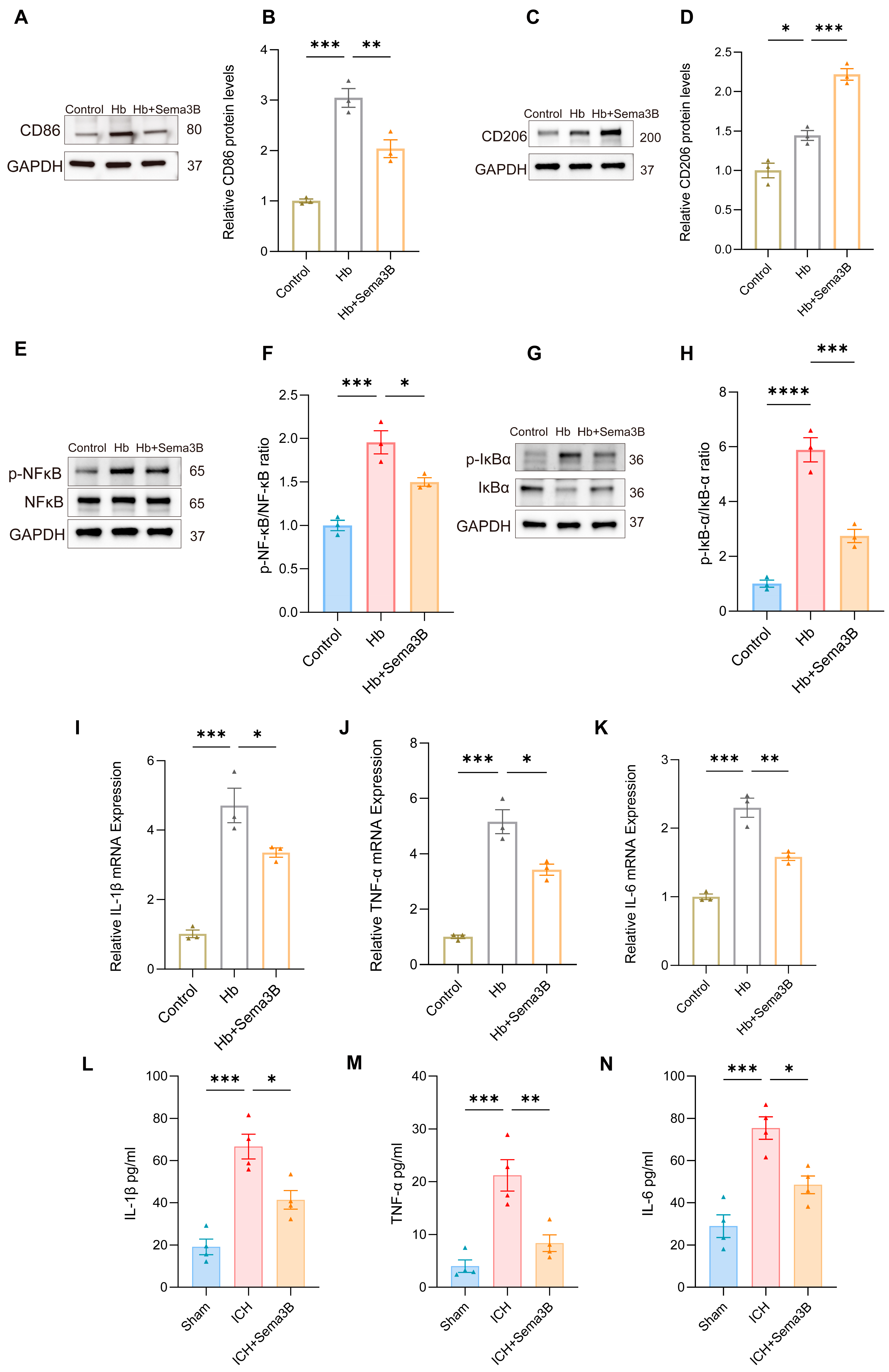 Antioxidants 15 00220 g007
