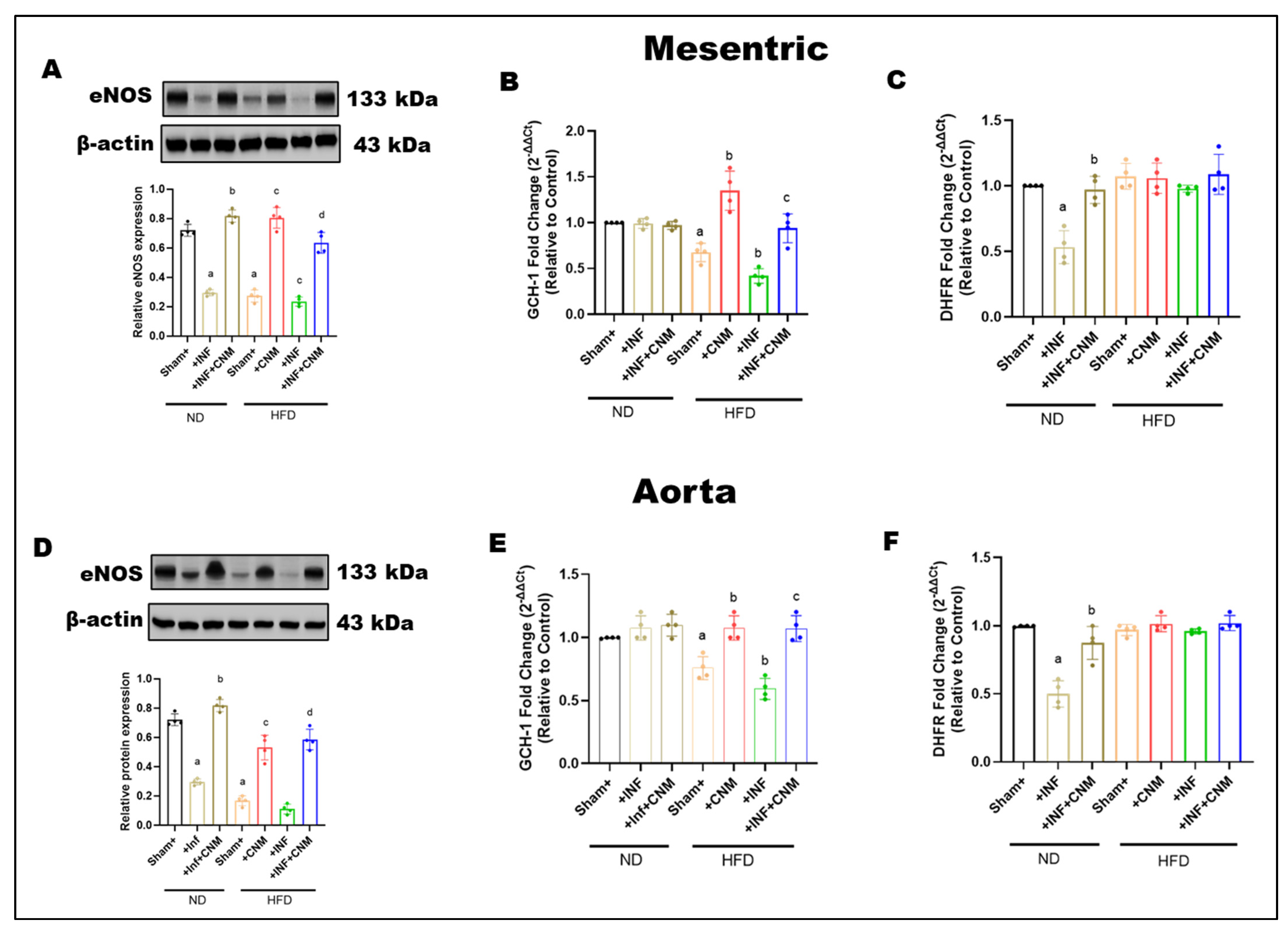 Antioxidants 15 00243 g004