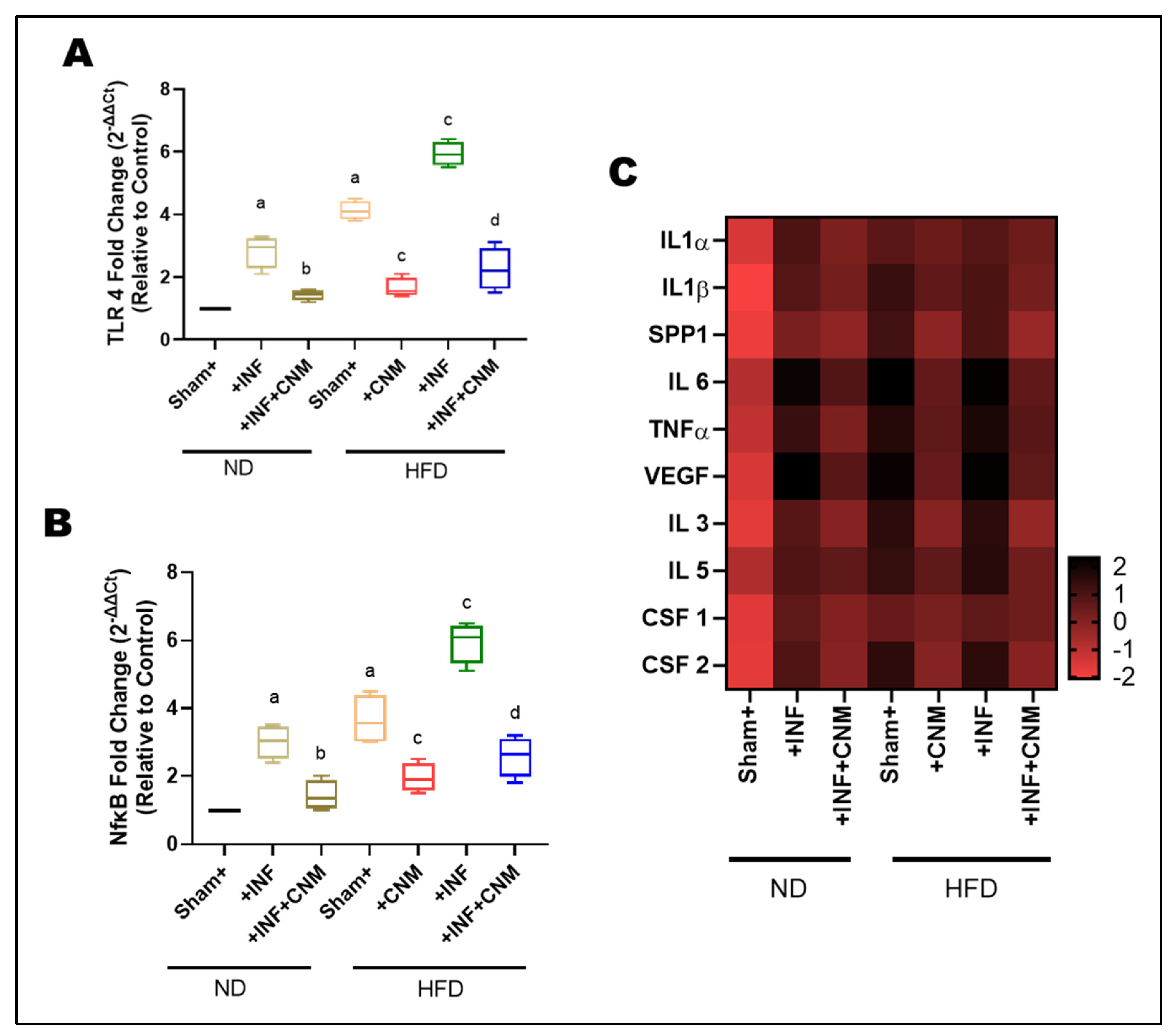 Antioxidants 15 00243 g005