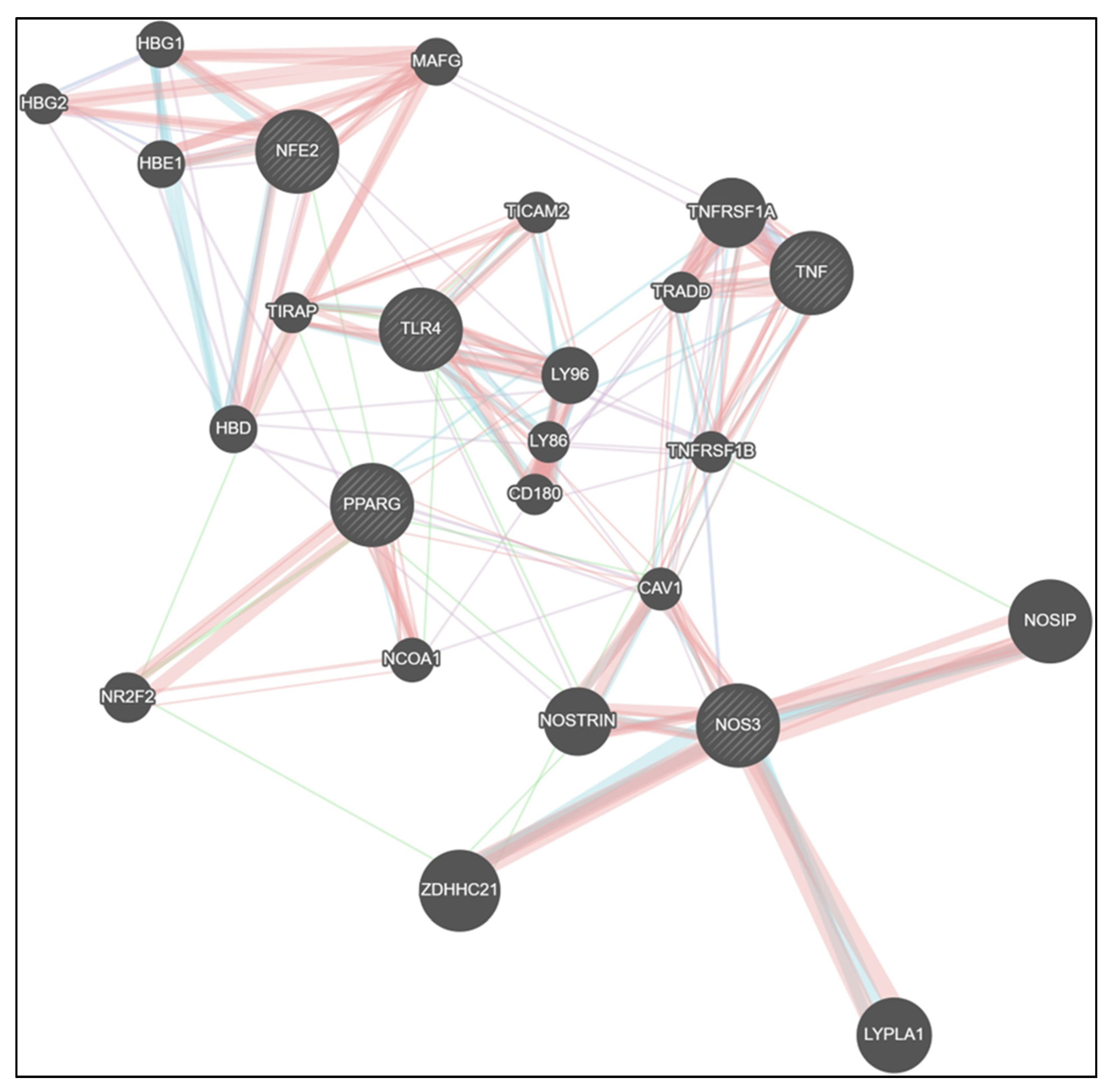 Antioxidants 15 00243 g007