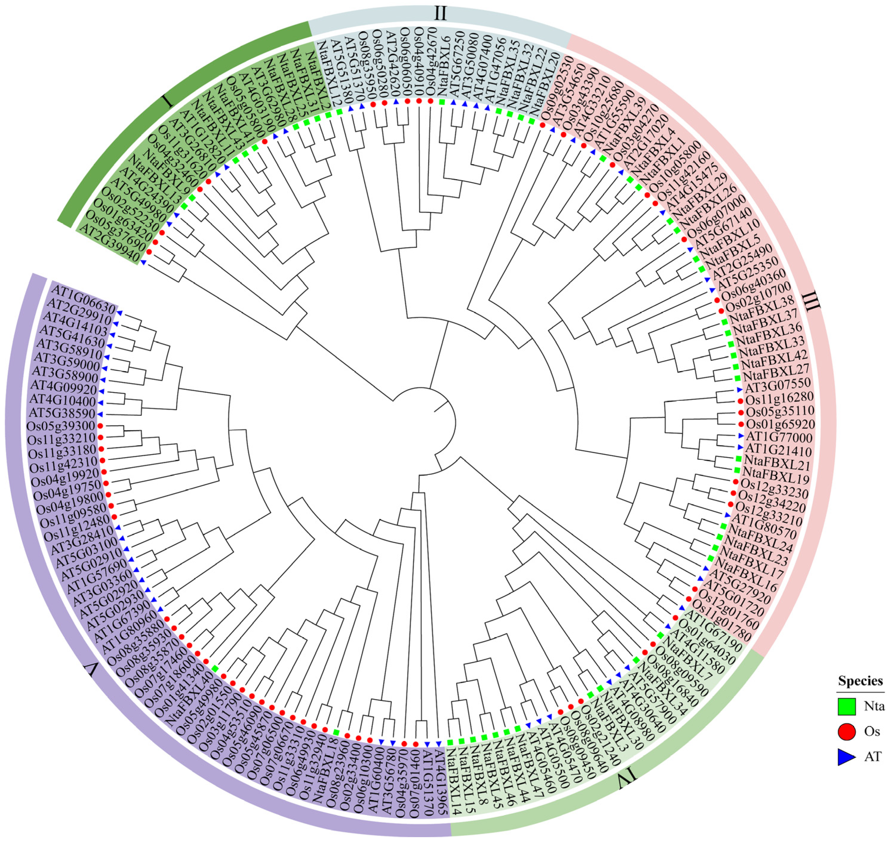 Antioxidants 15 00246 g001 Antioxidants 15 00246 g001