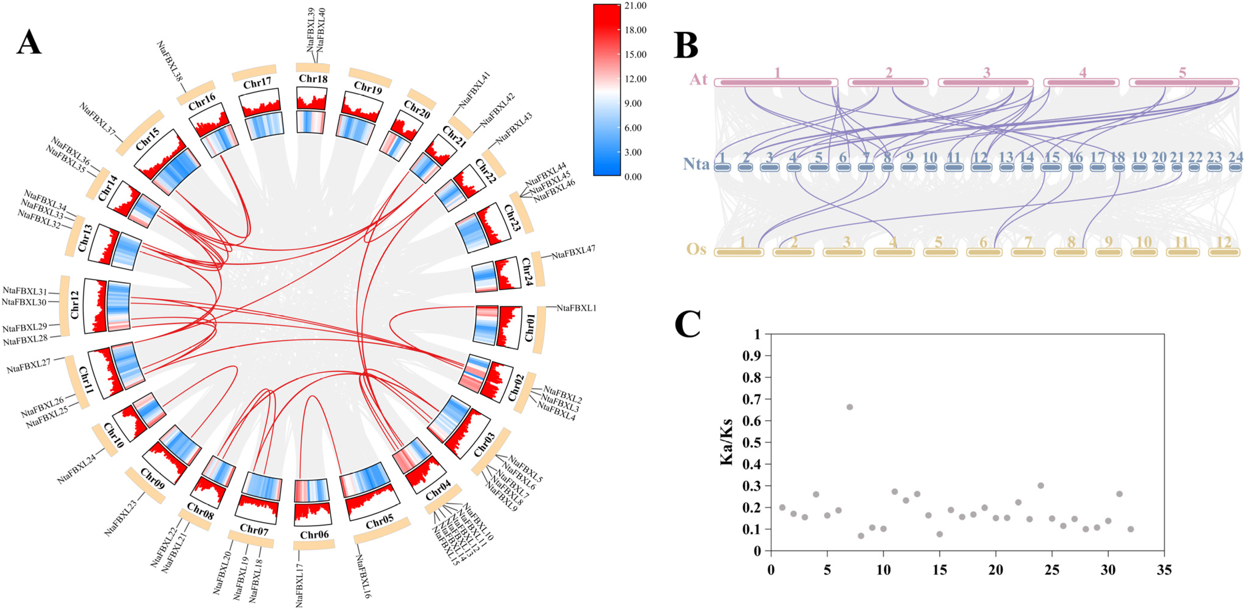Antioxidants 15 00246 g004 Antioxidants 15 00246 g004