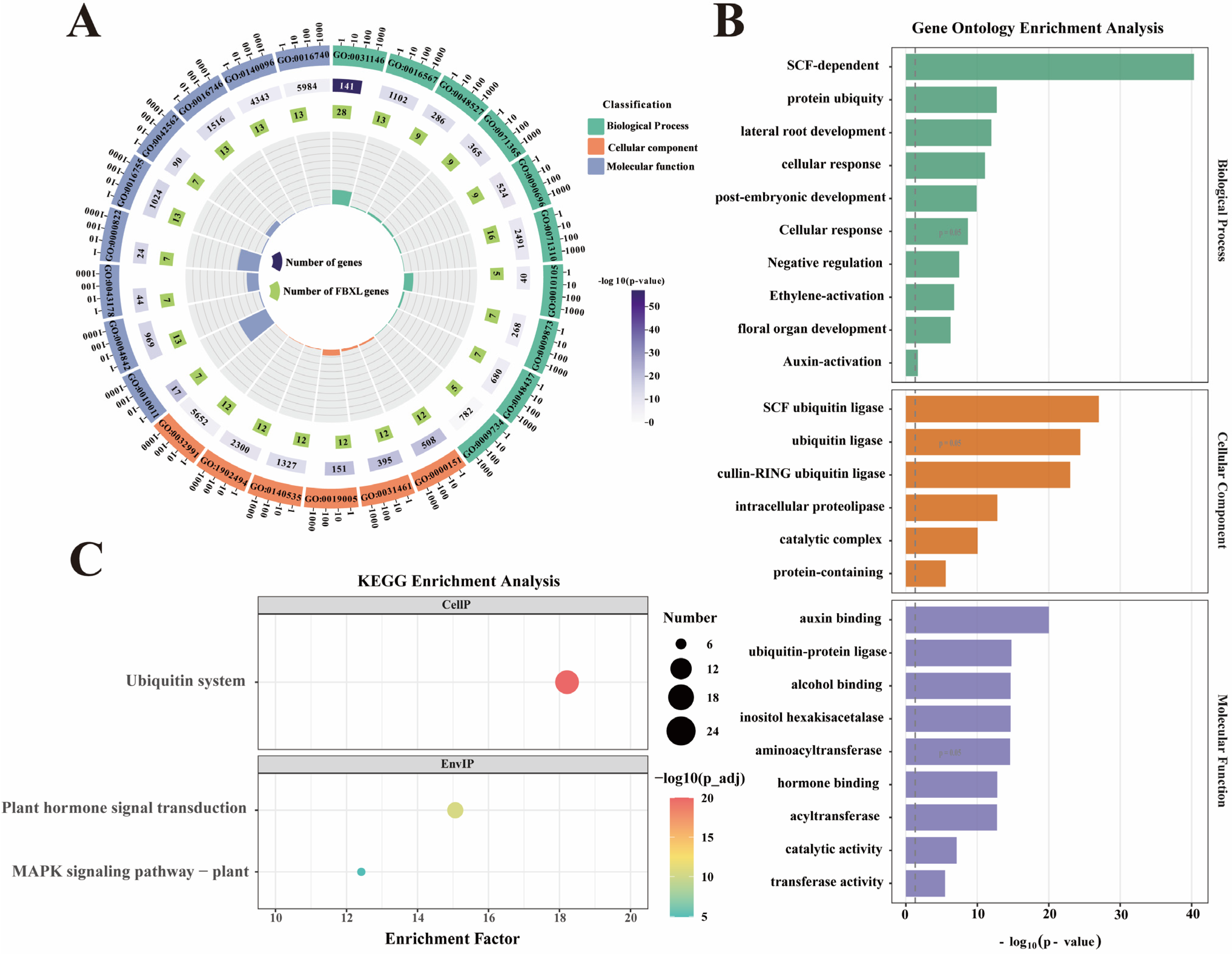 Antioxidants 15 00246 g006 Antioxidants 15 00246 g006