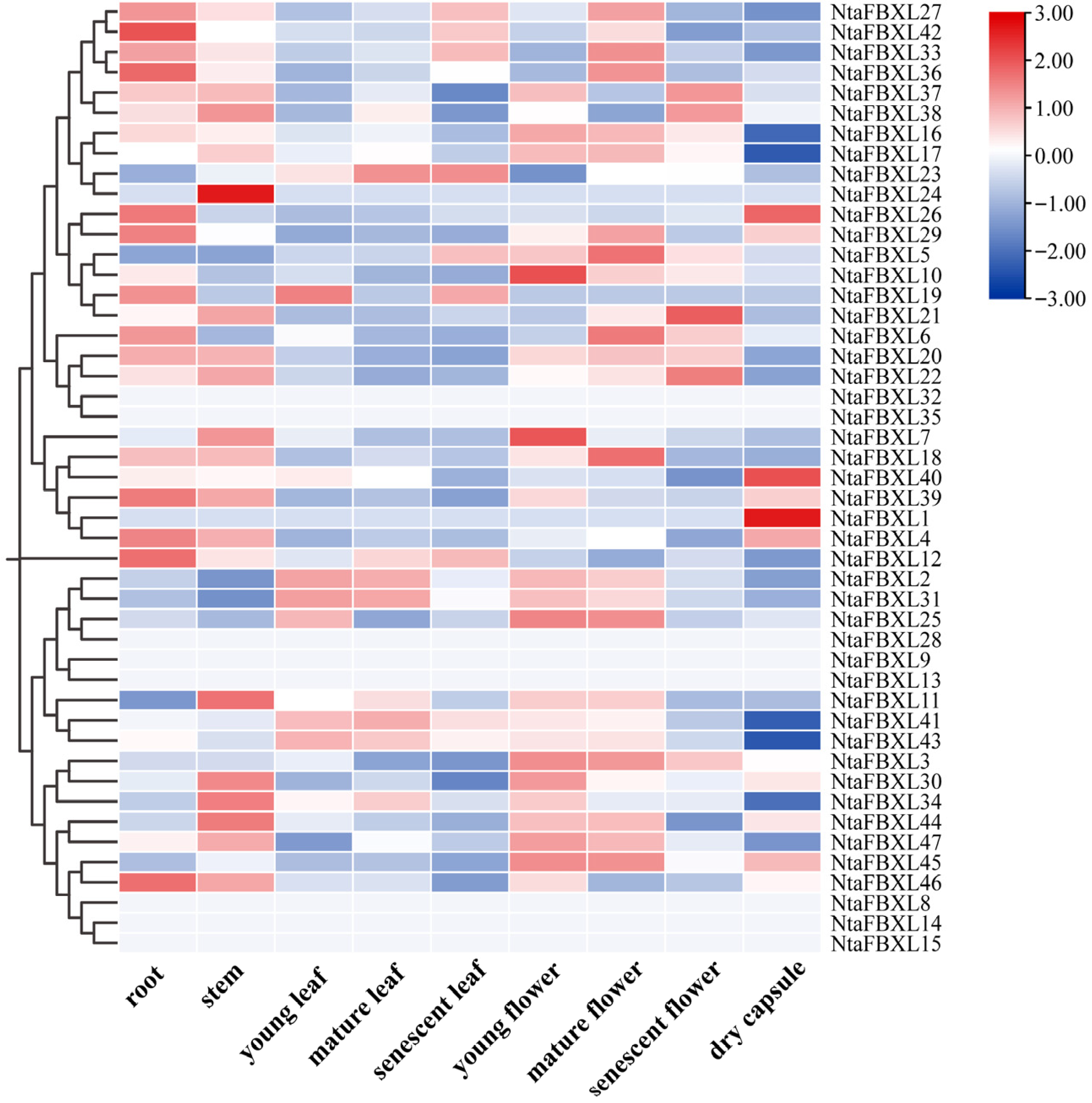 Antioxidants 15 00246 g007 Antioxidants 15 00246 g007