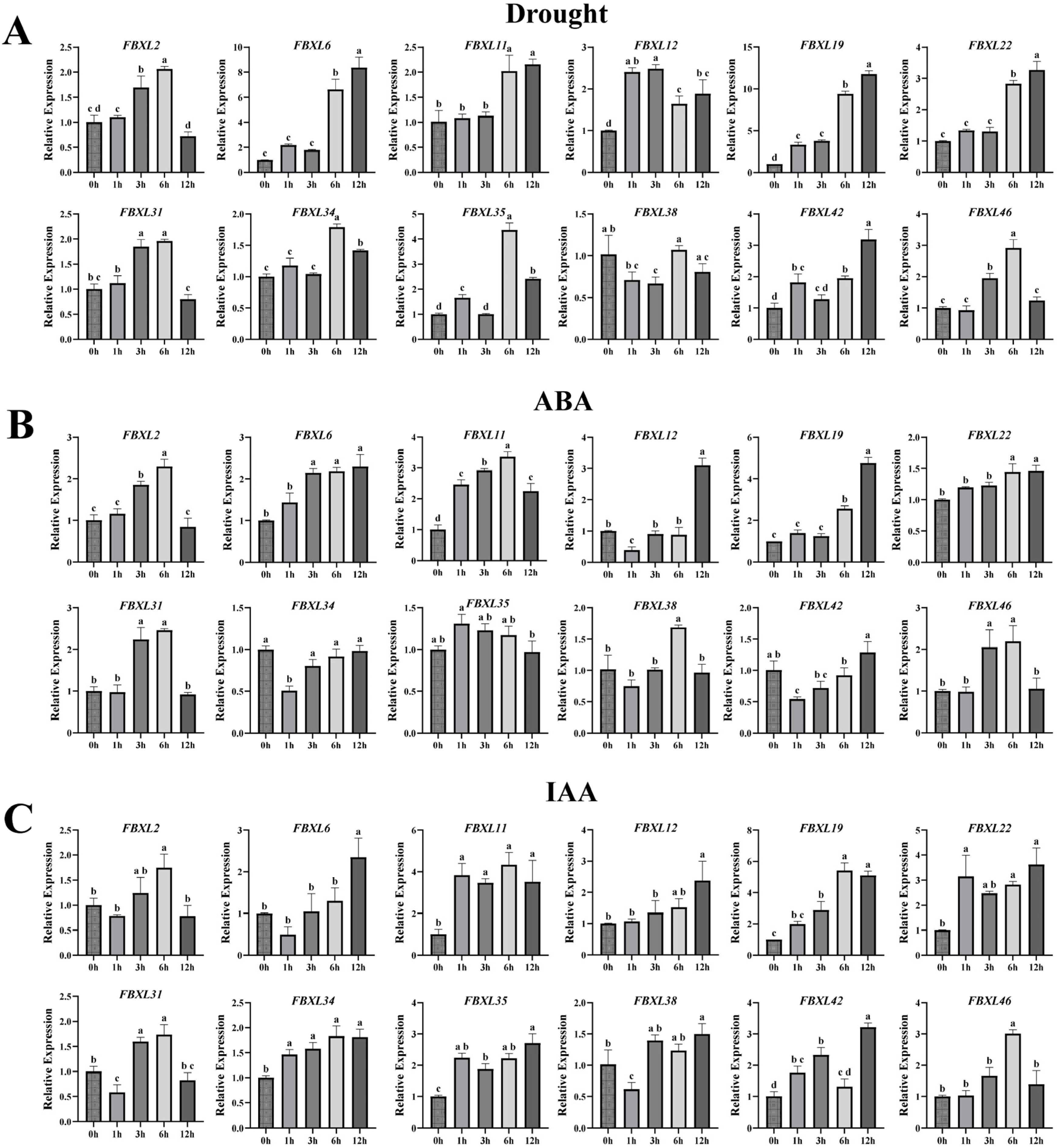 Antioxidants 15 00246 g008 Antioxidants 15 00246 g008