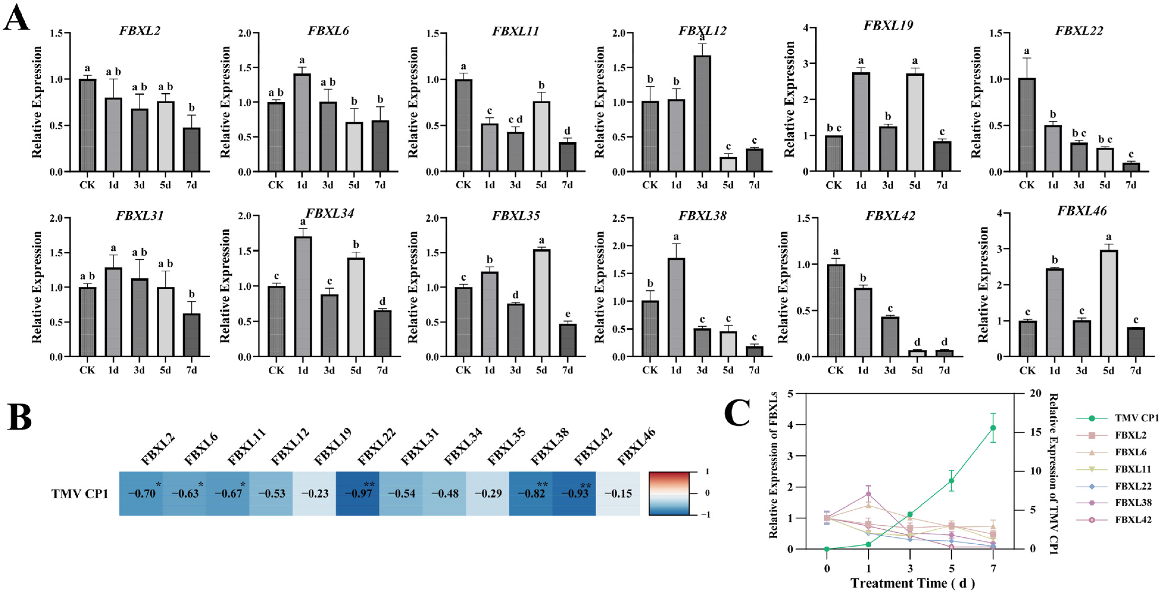 Antioxidants 15 00246 g009 Antioxidants 15 00246 g009