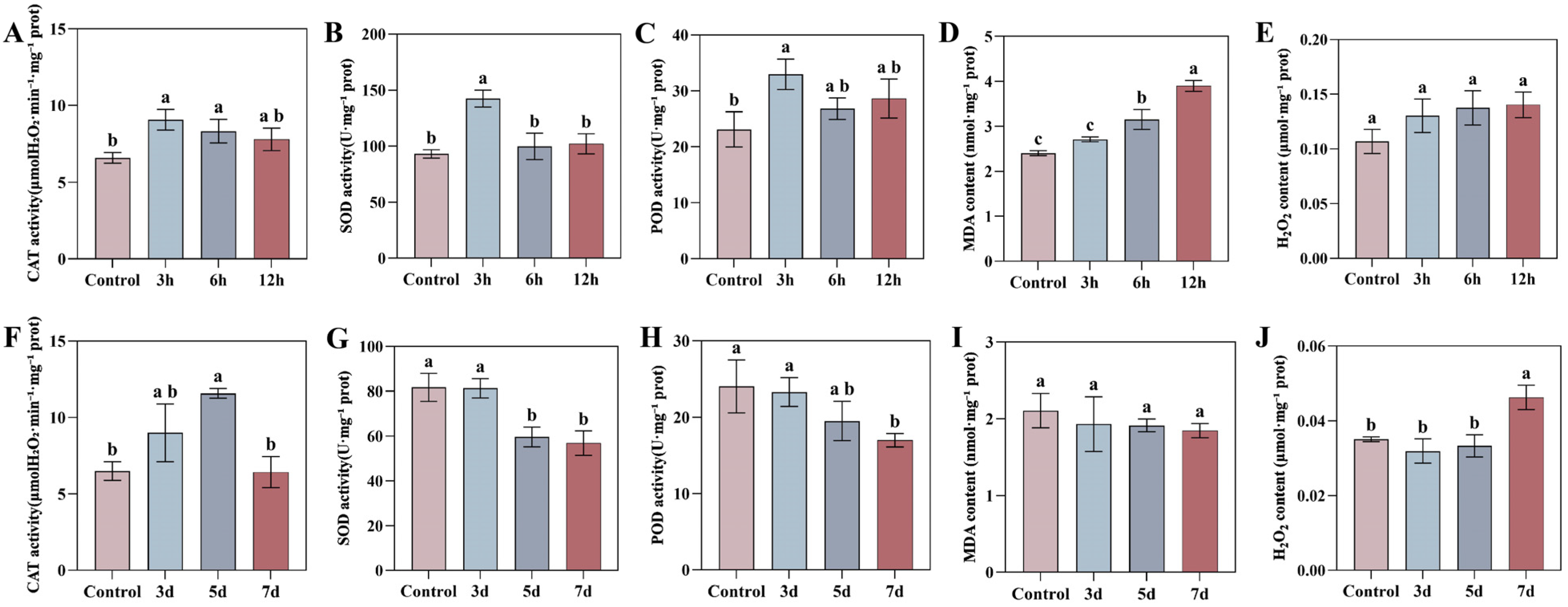 Antioxidants 15 00246 g010 Antioxidants 15 00246 g010
