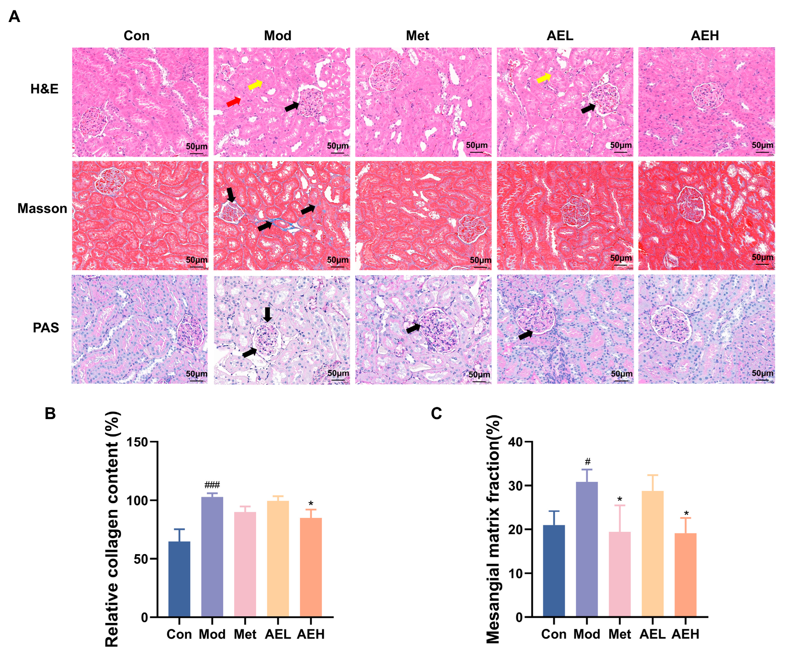 Antioxidants 15 00252 g006 Antioxidants 15 00252 g006