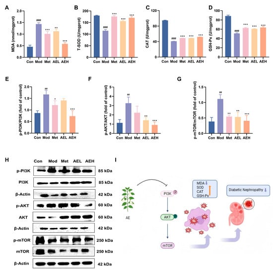 Antioxidants 15 00252 g007