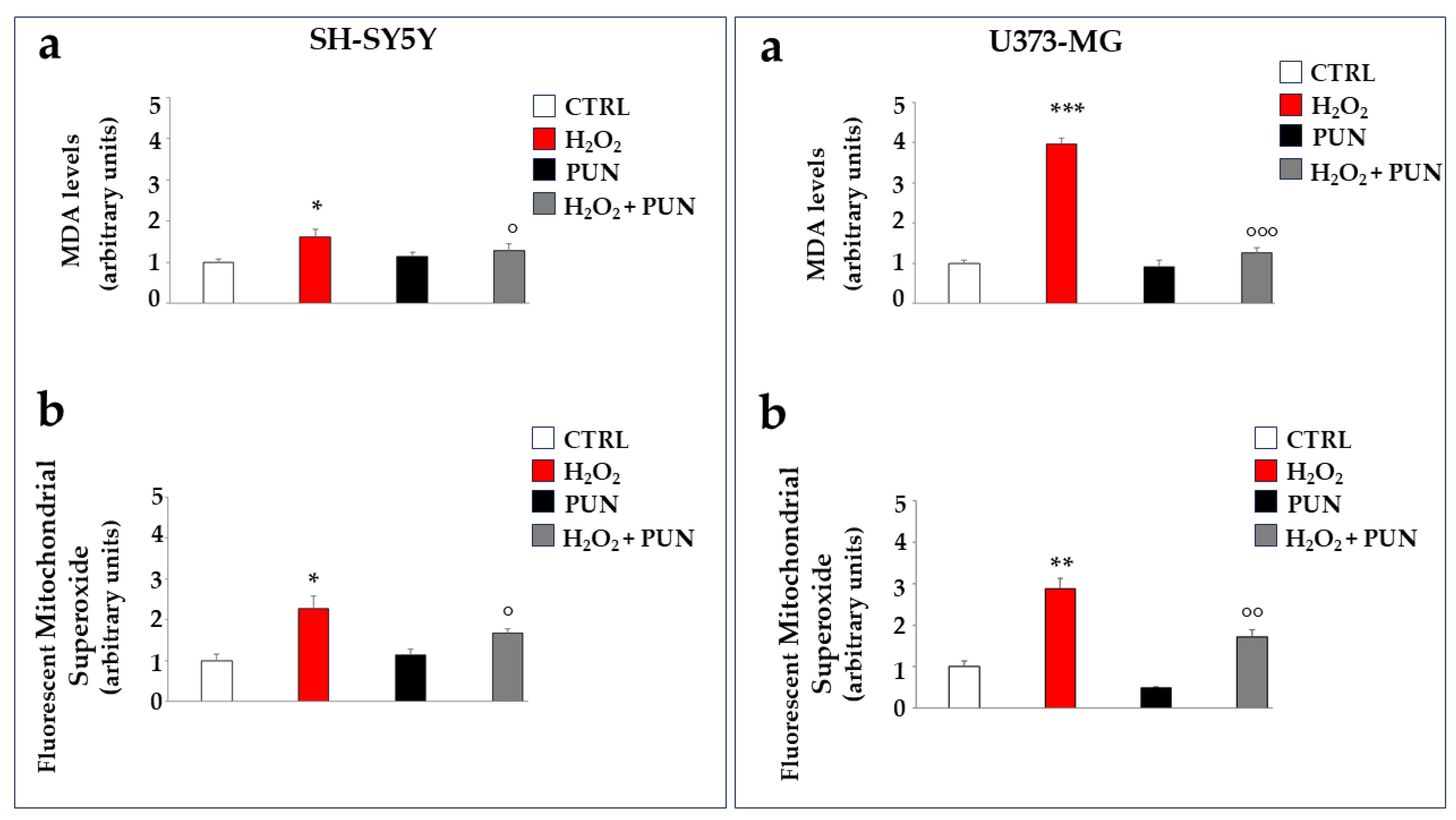 Antioxidants 15 00276 g005 Antioxidants 15 00276 g005