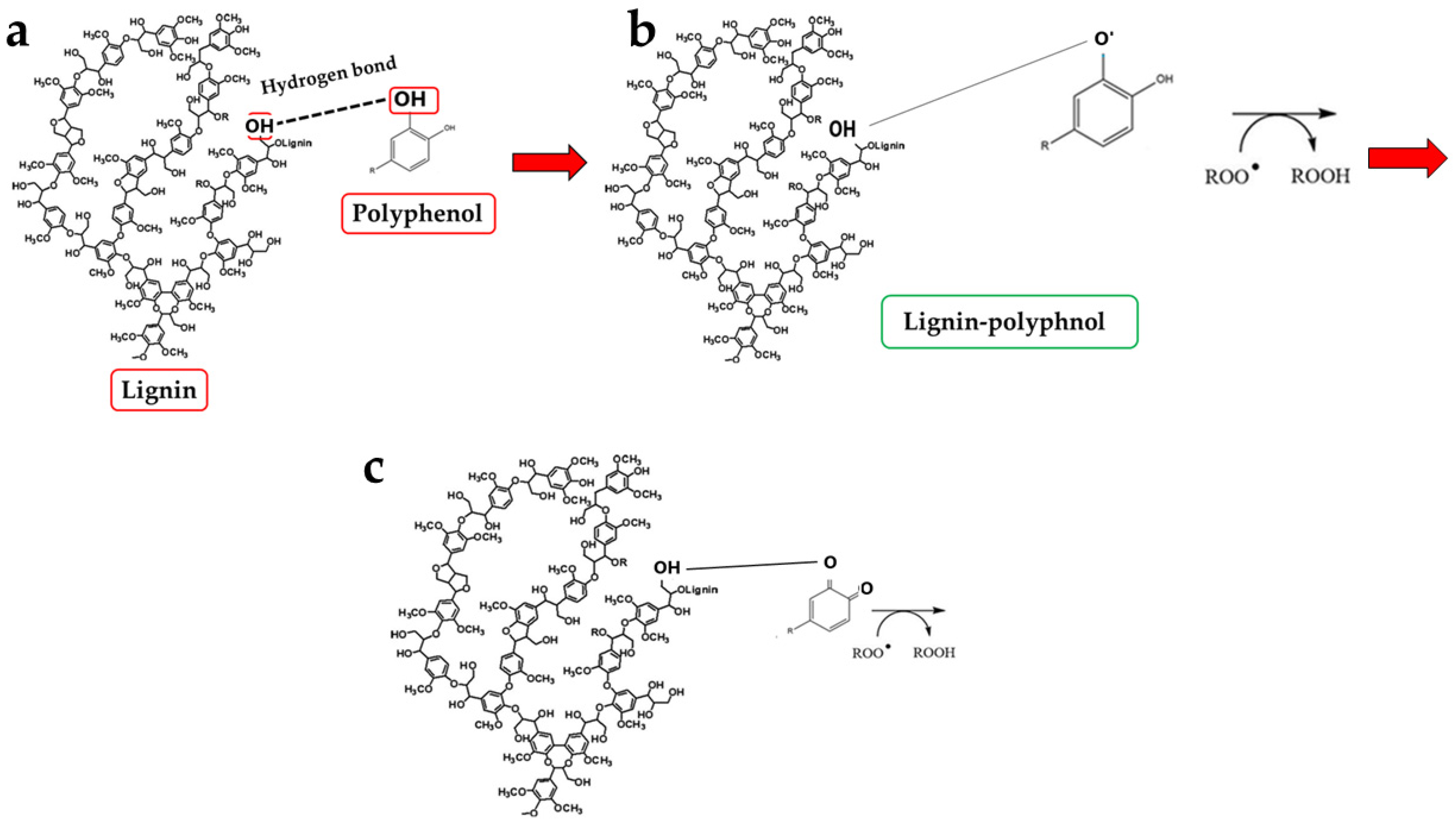 Antioxidants 15 00276 g011 Antioxidants 15 00276 g011