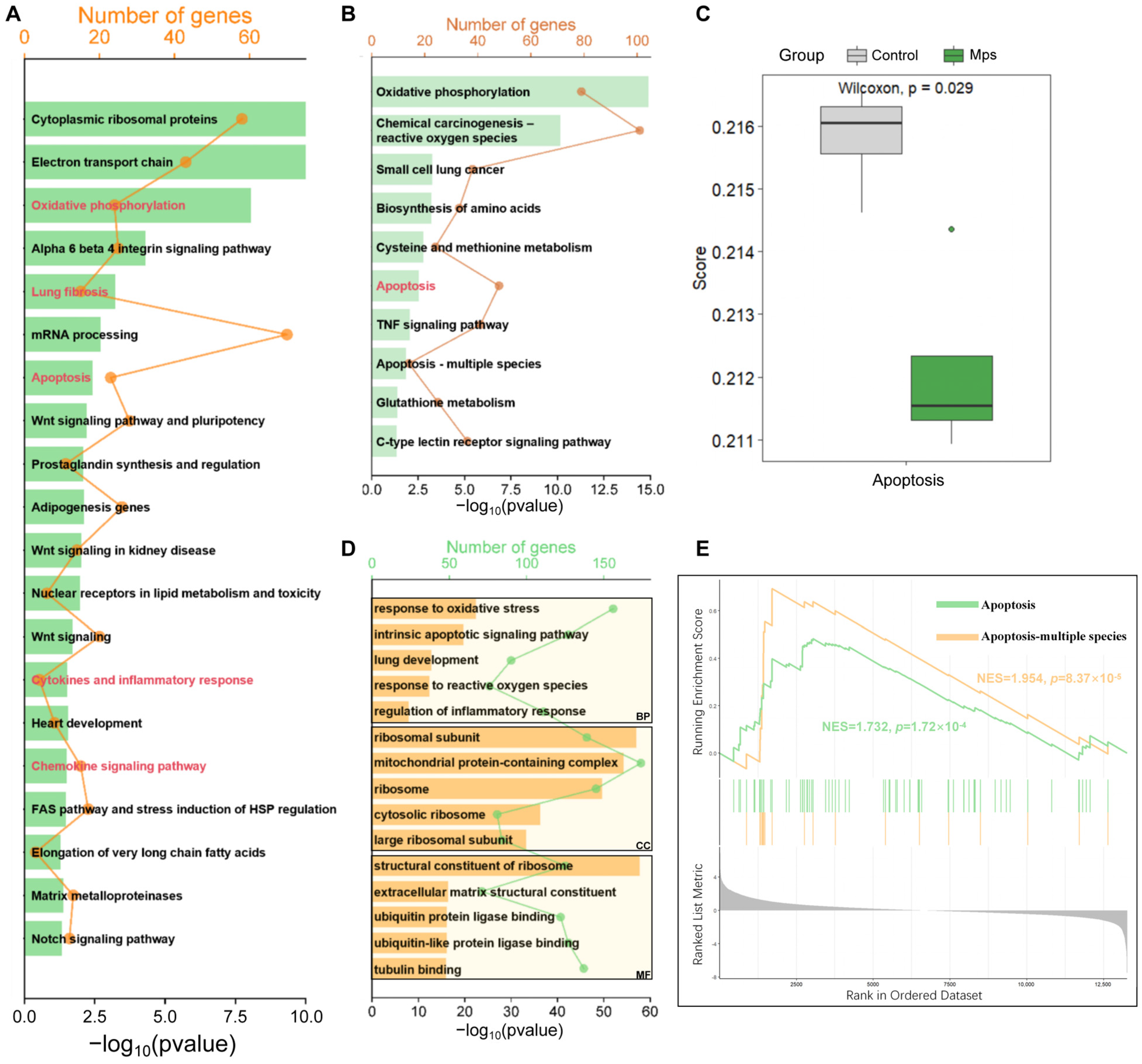 Antioxidants 15 00279 g001 Antioxidants 15 00279 g001