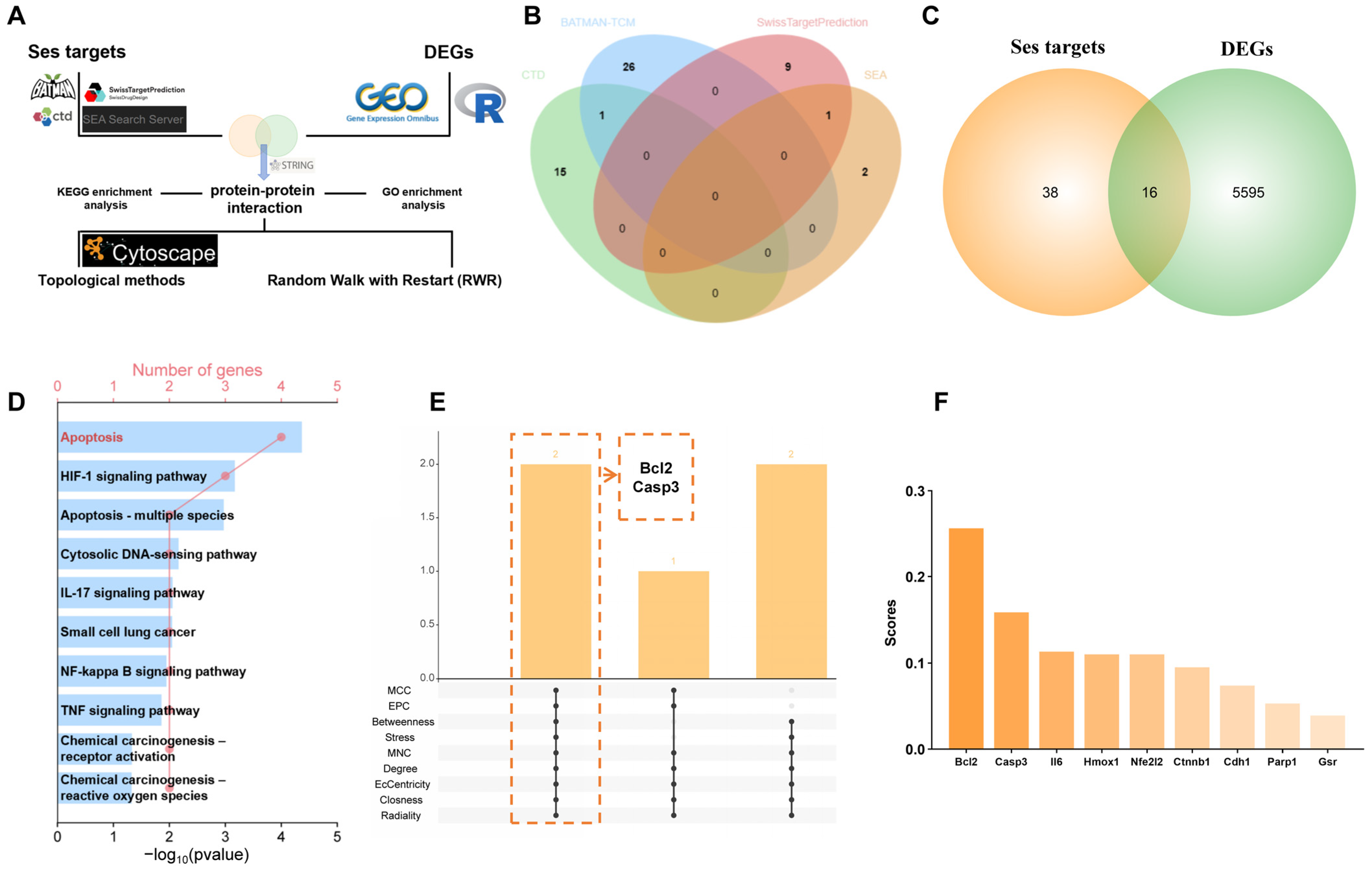 Antioxidants 15 00279 g002 Antioxidants 15 00279 g002