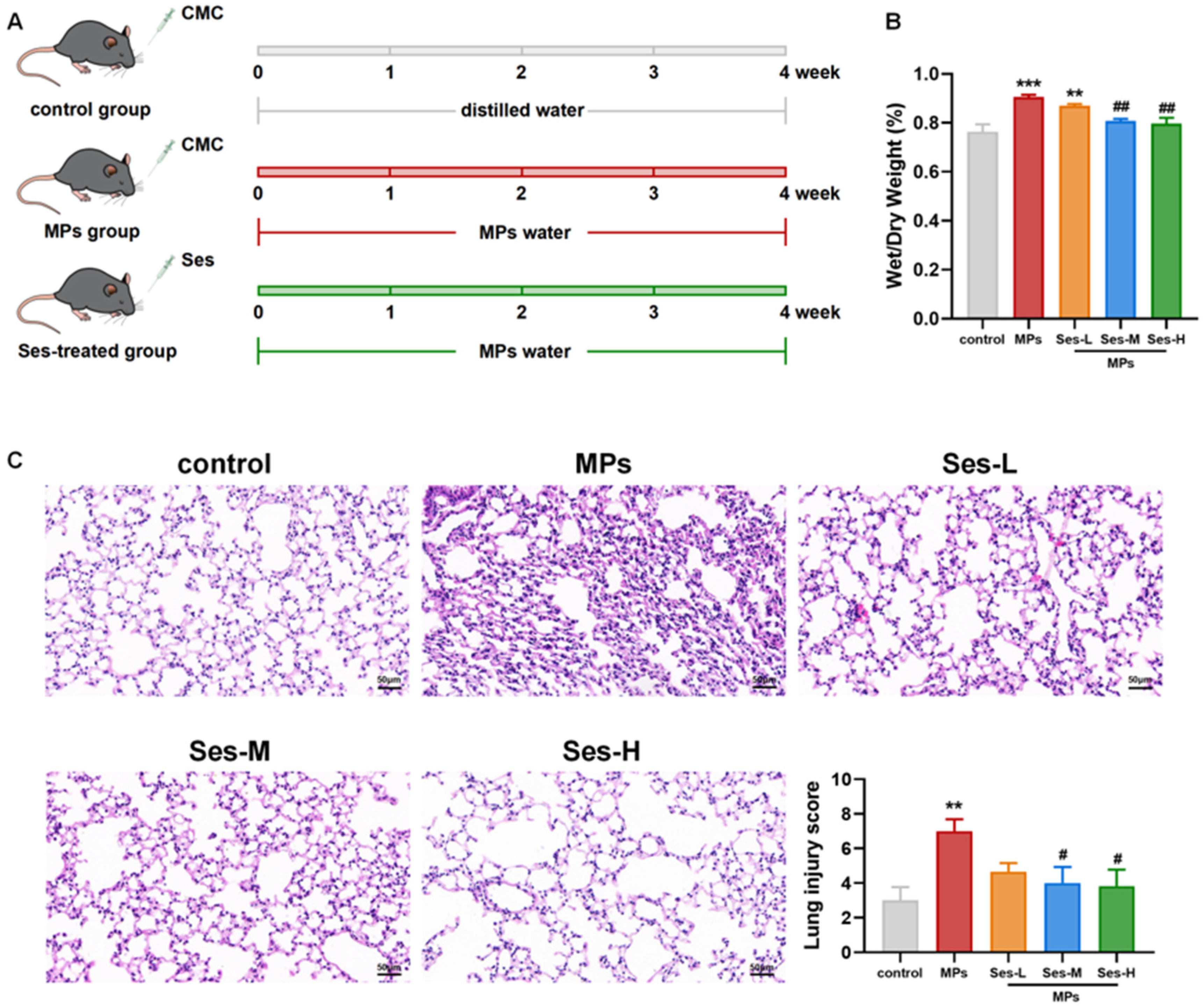 Antioxidants 15 00279 g003 Antioxidants 15 00279 g003
