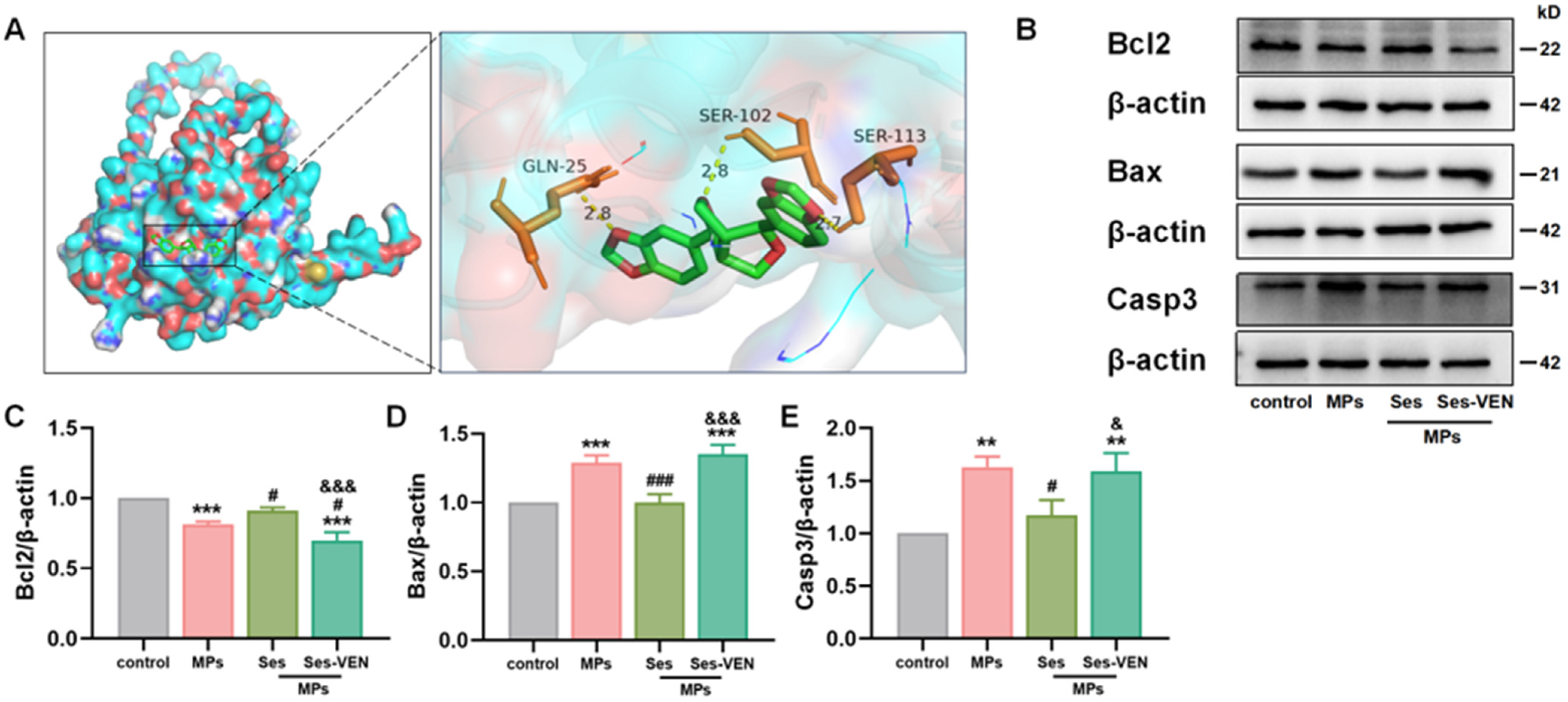 Antioxidants 15 00279 g007 Antioxidants 15 00279 g007