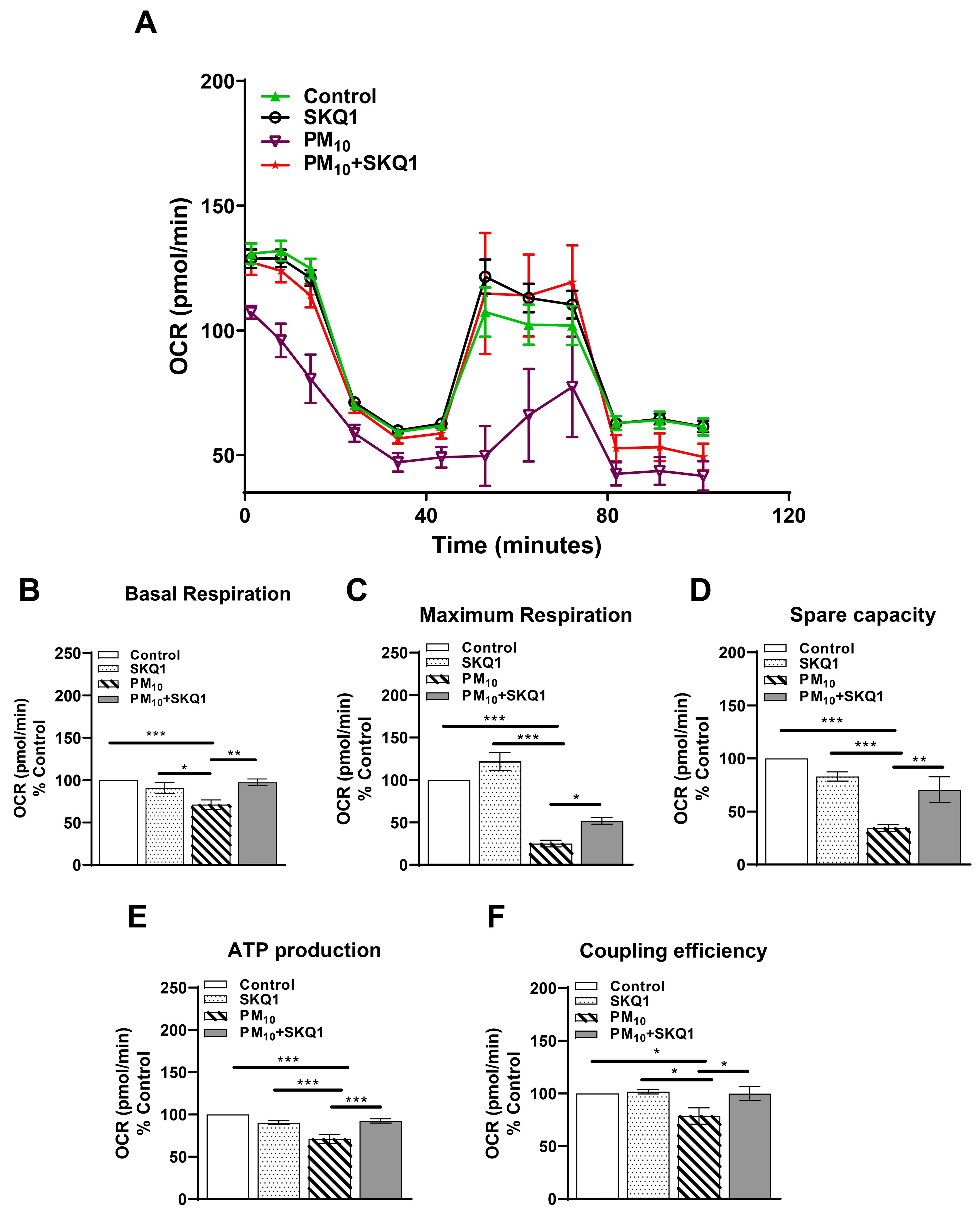 Antioxidants 15 00284 g001 Antioxidants 15 00284 g001