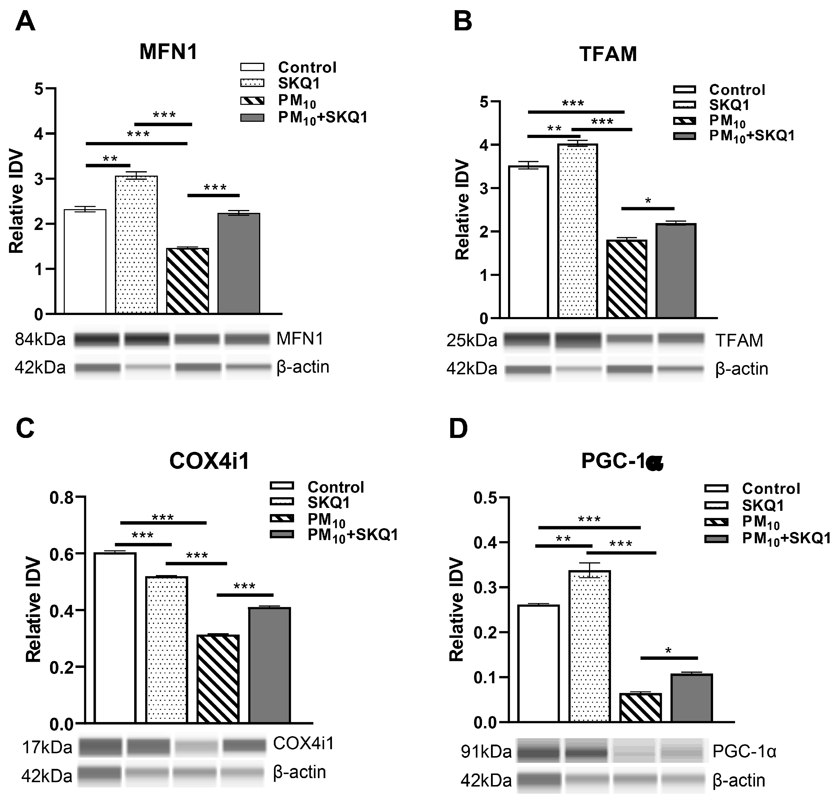 Antioxidants 15 00284 g005 Antioxidants 15 00284 g005