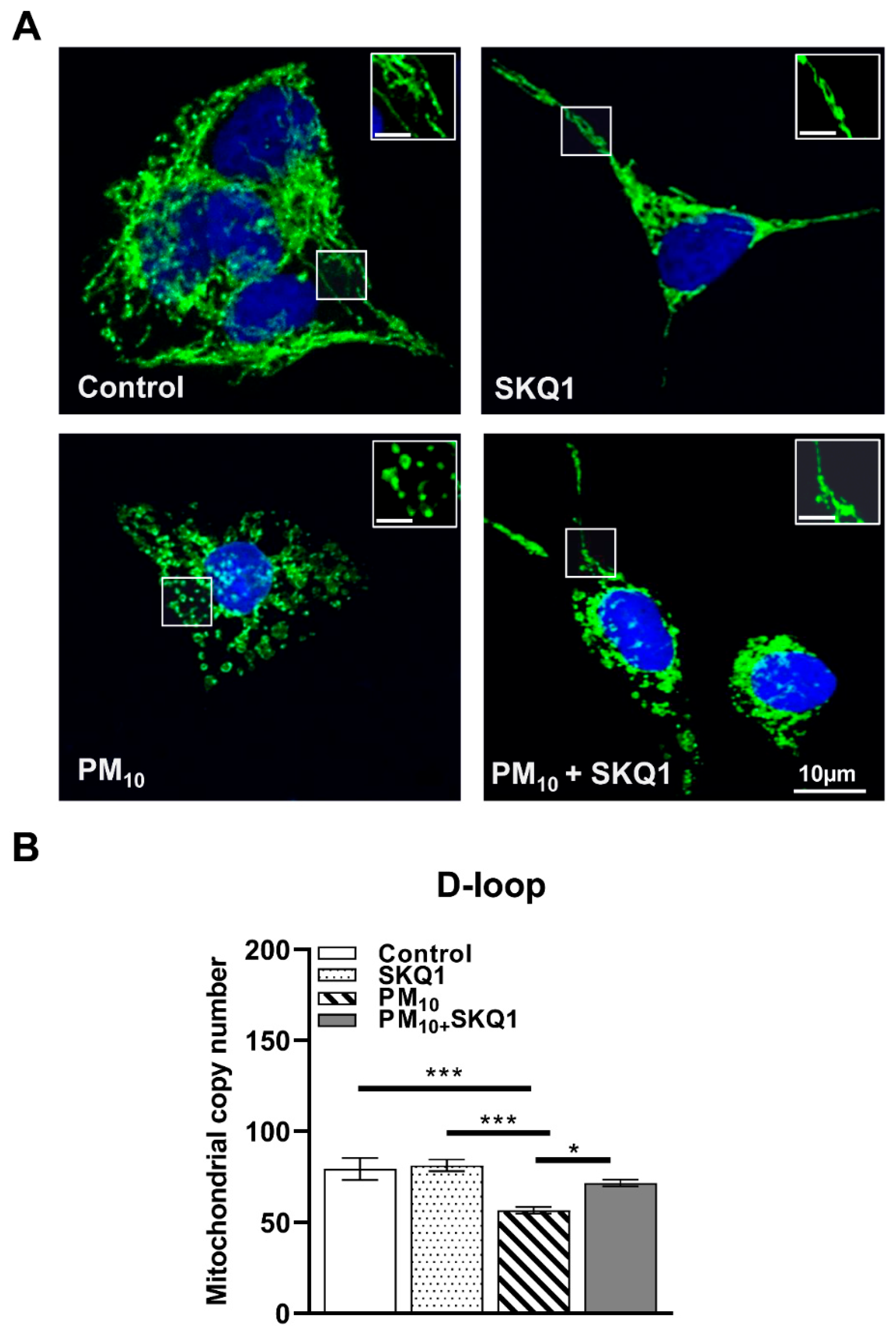 Antioxidants 15 00284 g006 Antioxidants 15 00284 g006