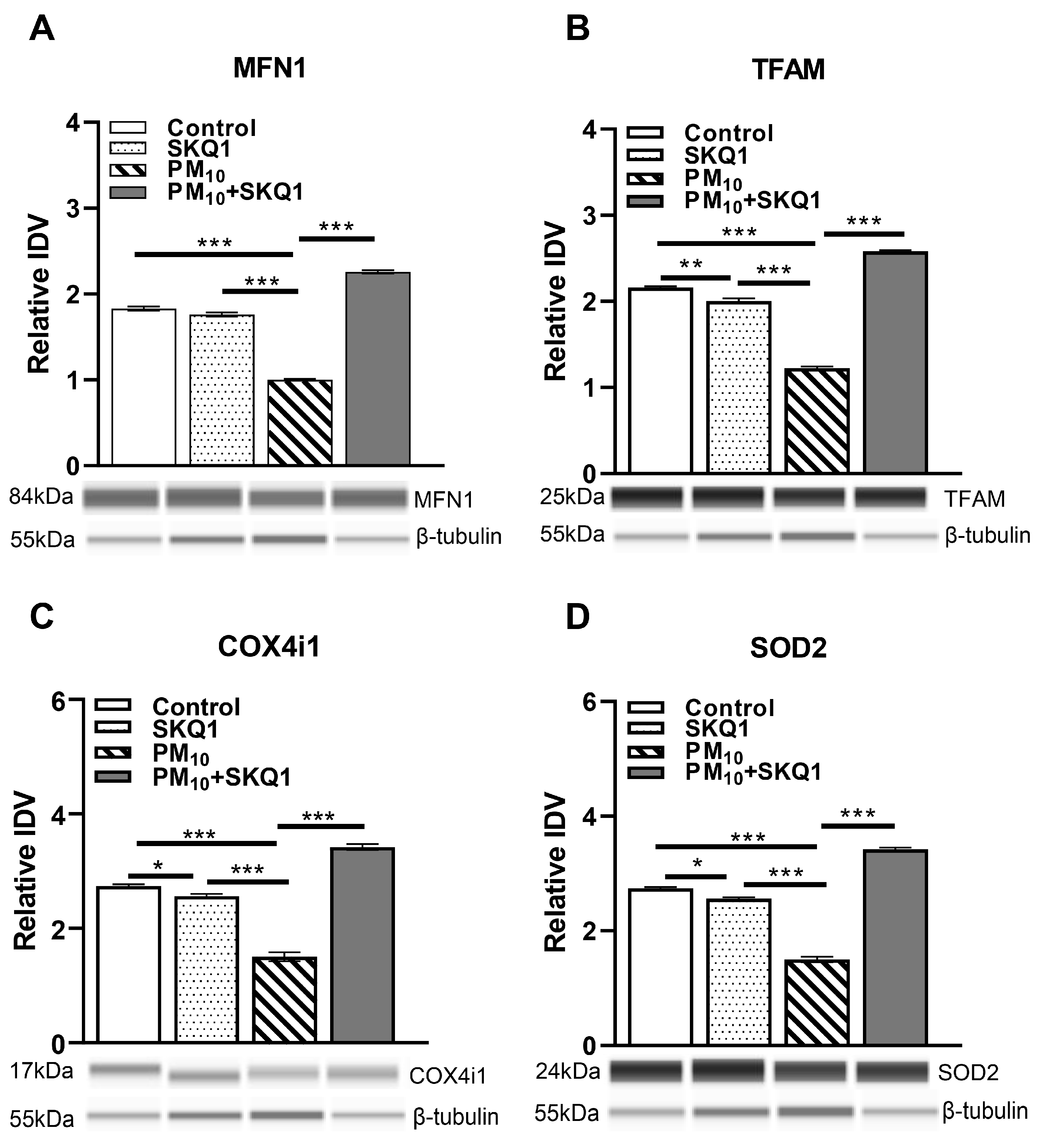 Antioxidants 15 00284 g008 Antioxidants 15 00284 g008