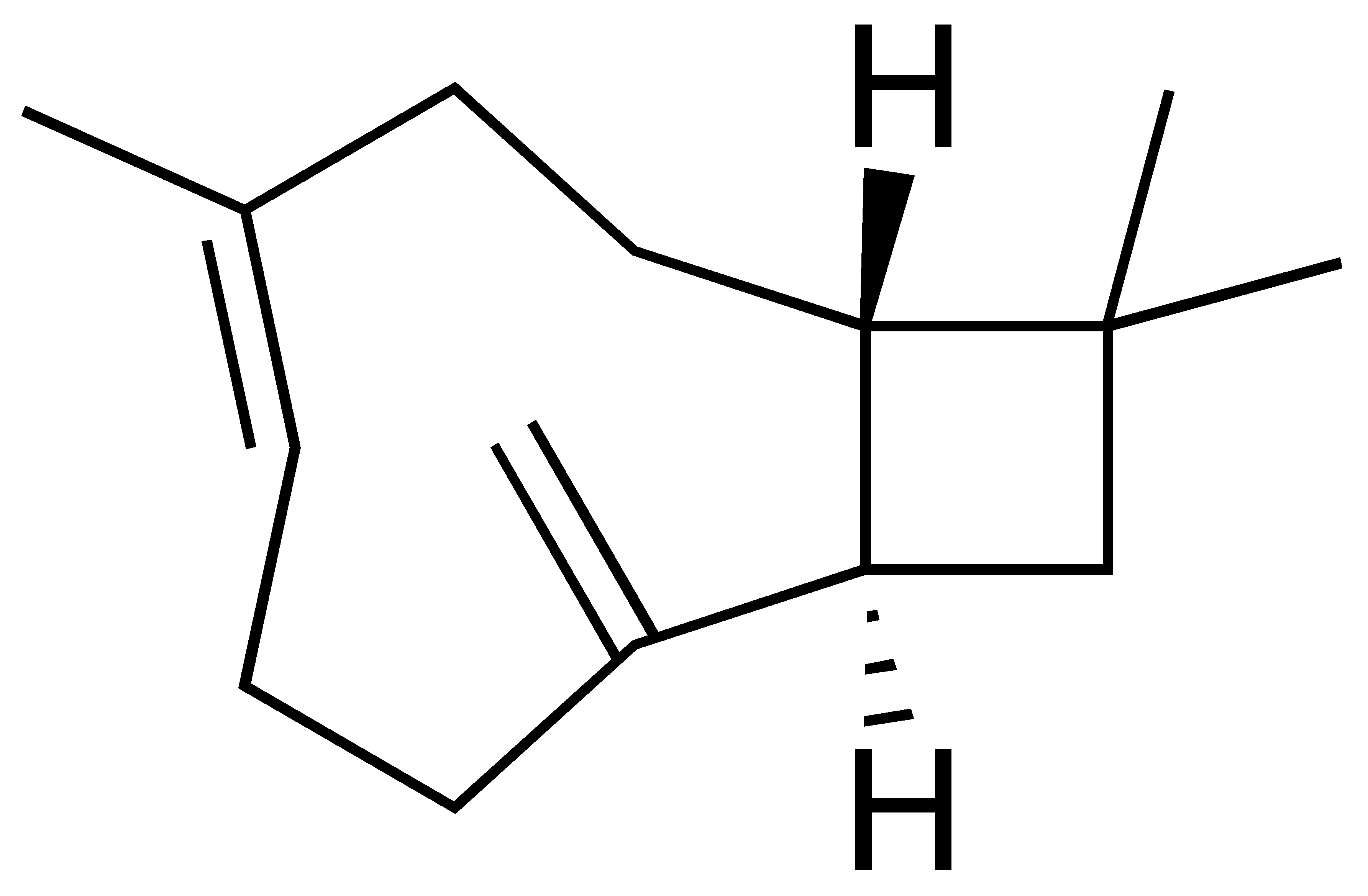Antioxidants 15 00291 i004 Antioxidants 15 00291 i004