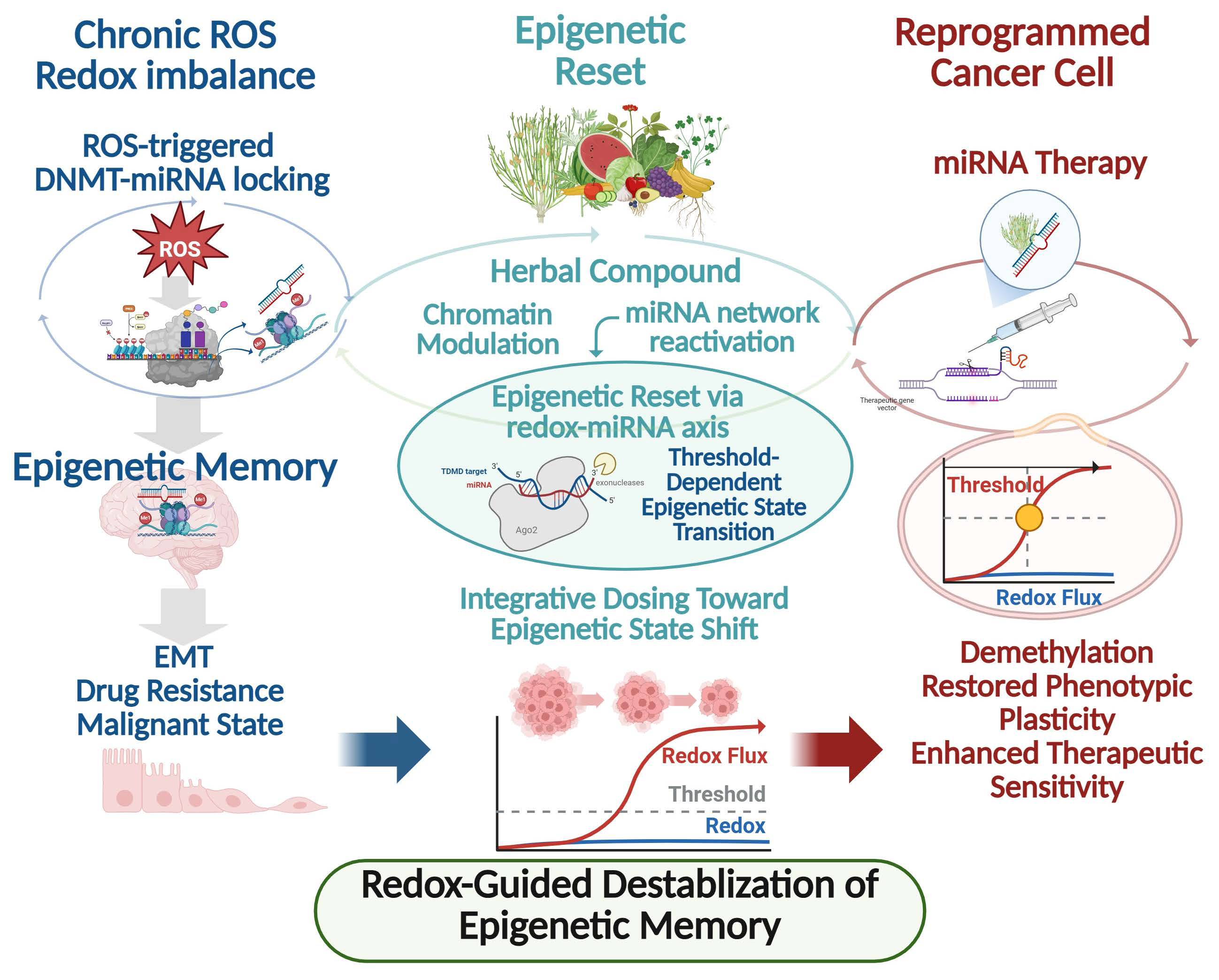 Antioxidants 15 00295 g001