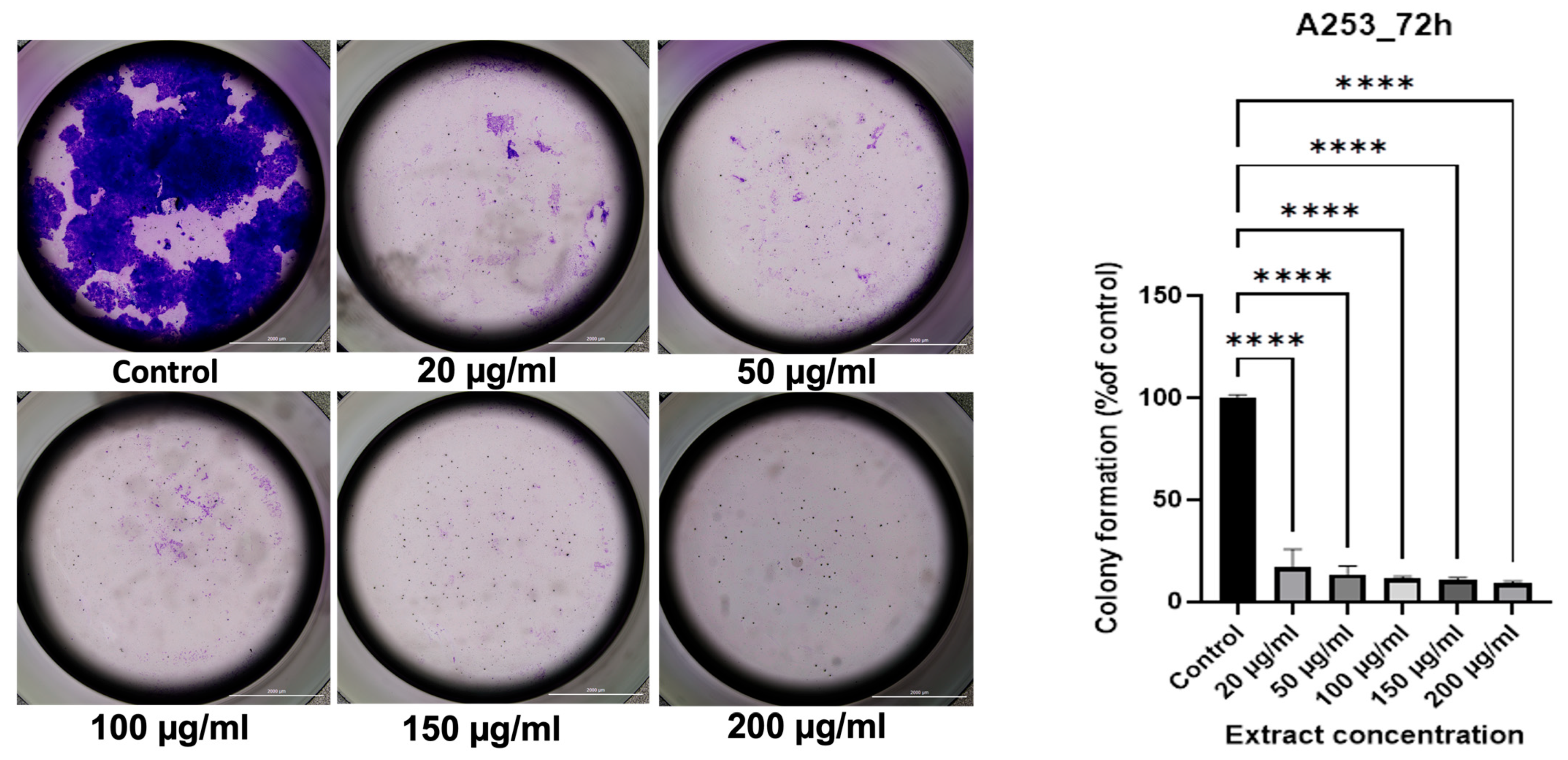 Antioxidants 15 00296 g003 Antioxidants 15 00296 g003
