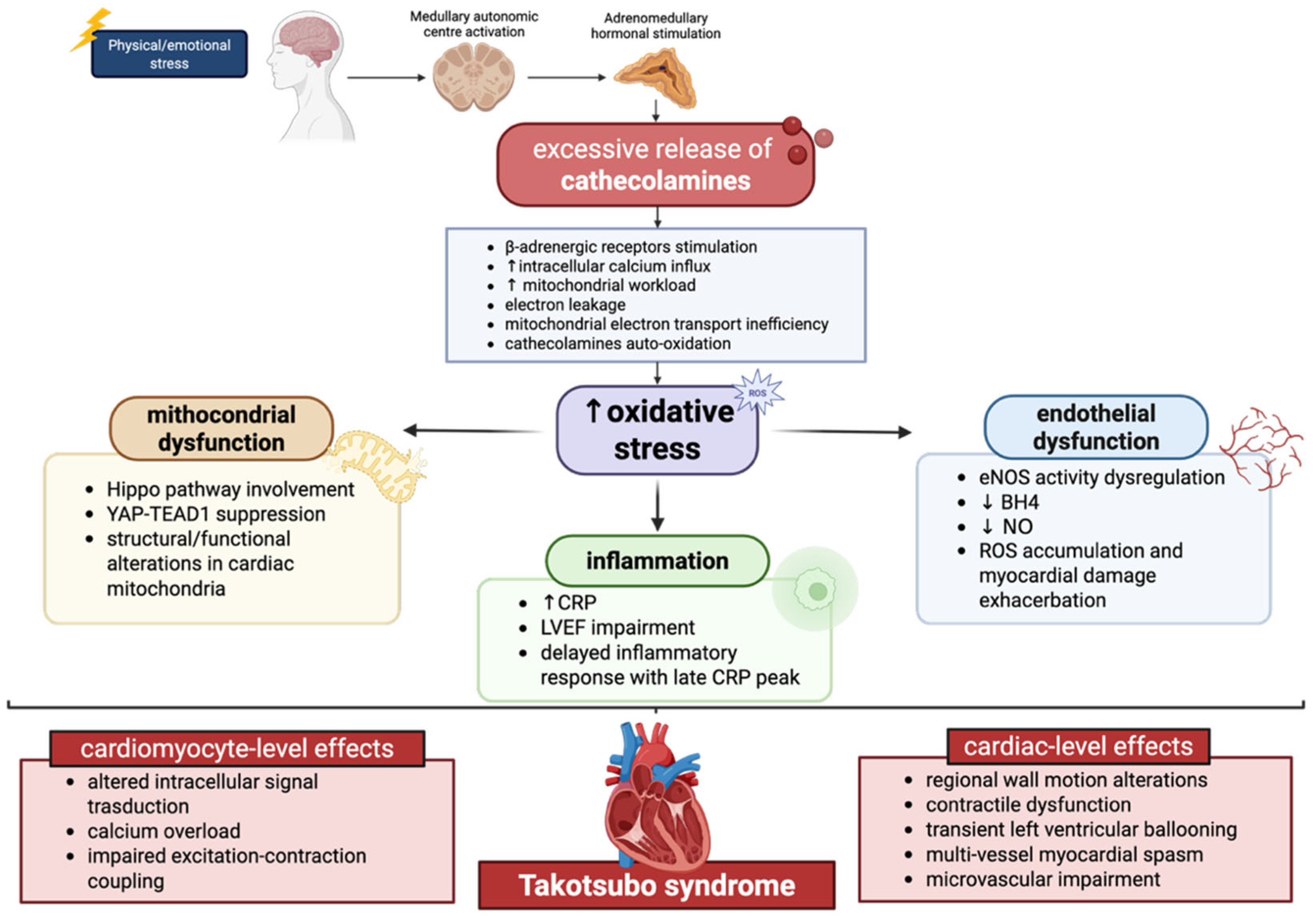 Antioxidants 15 00302 g001