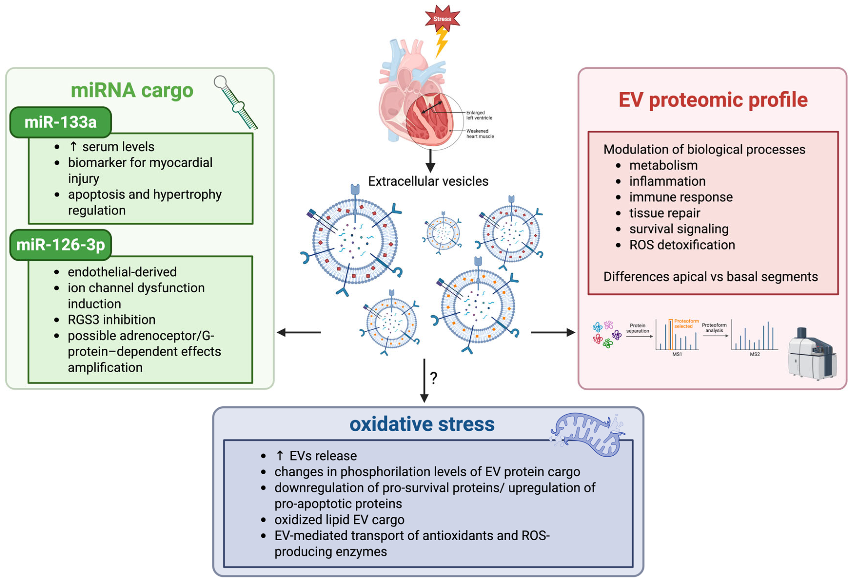 Antioxidants 15 00302 g003