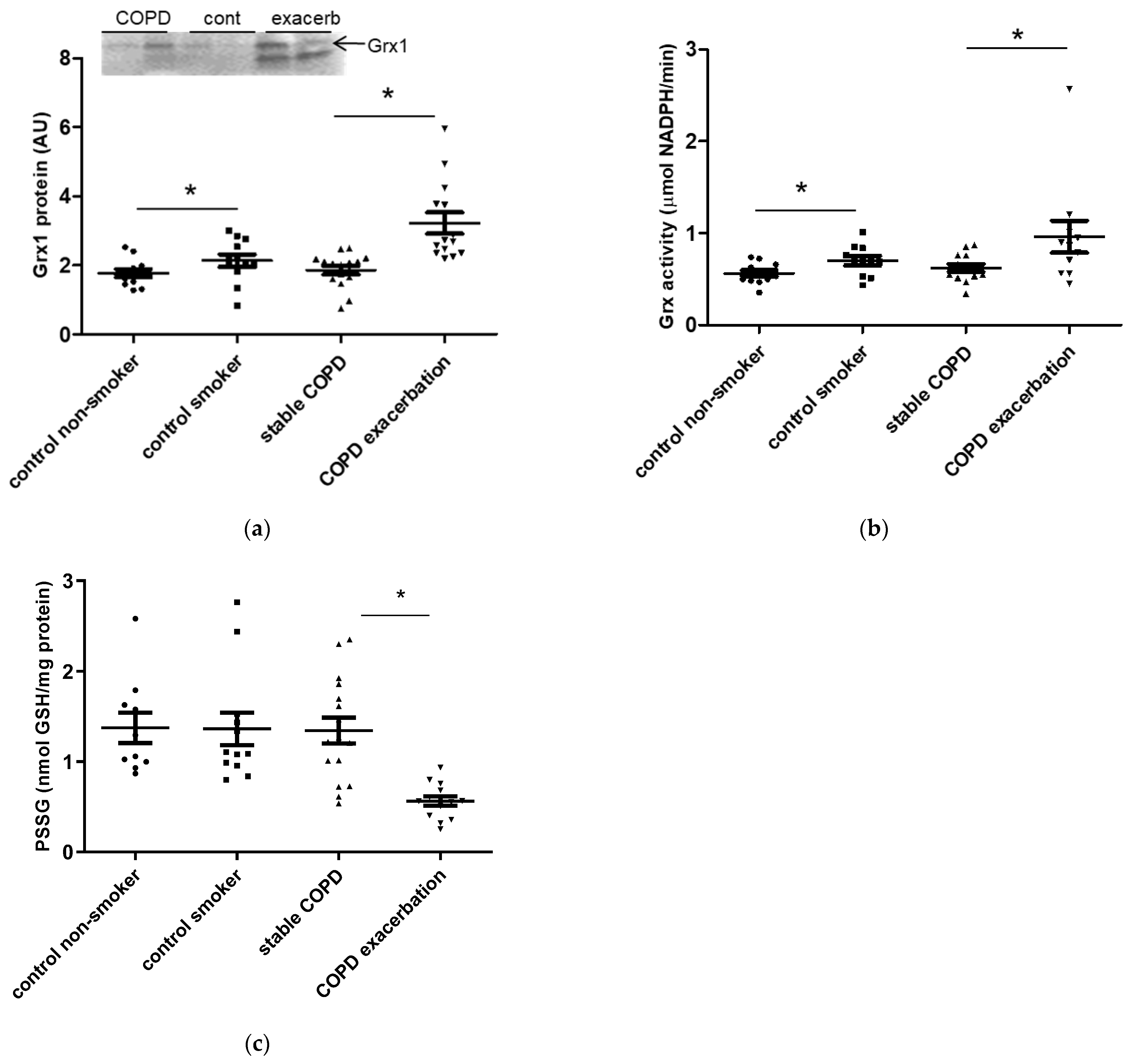 Antioxidants 15 00330 g001